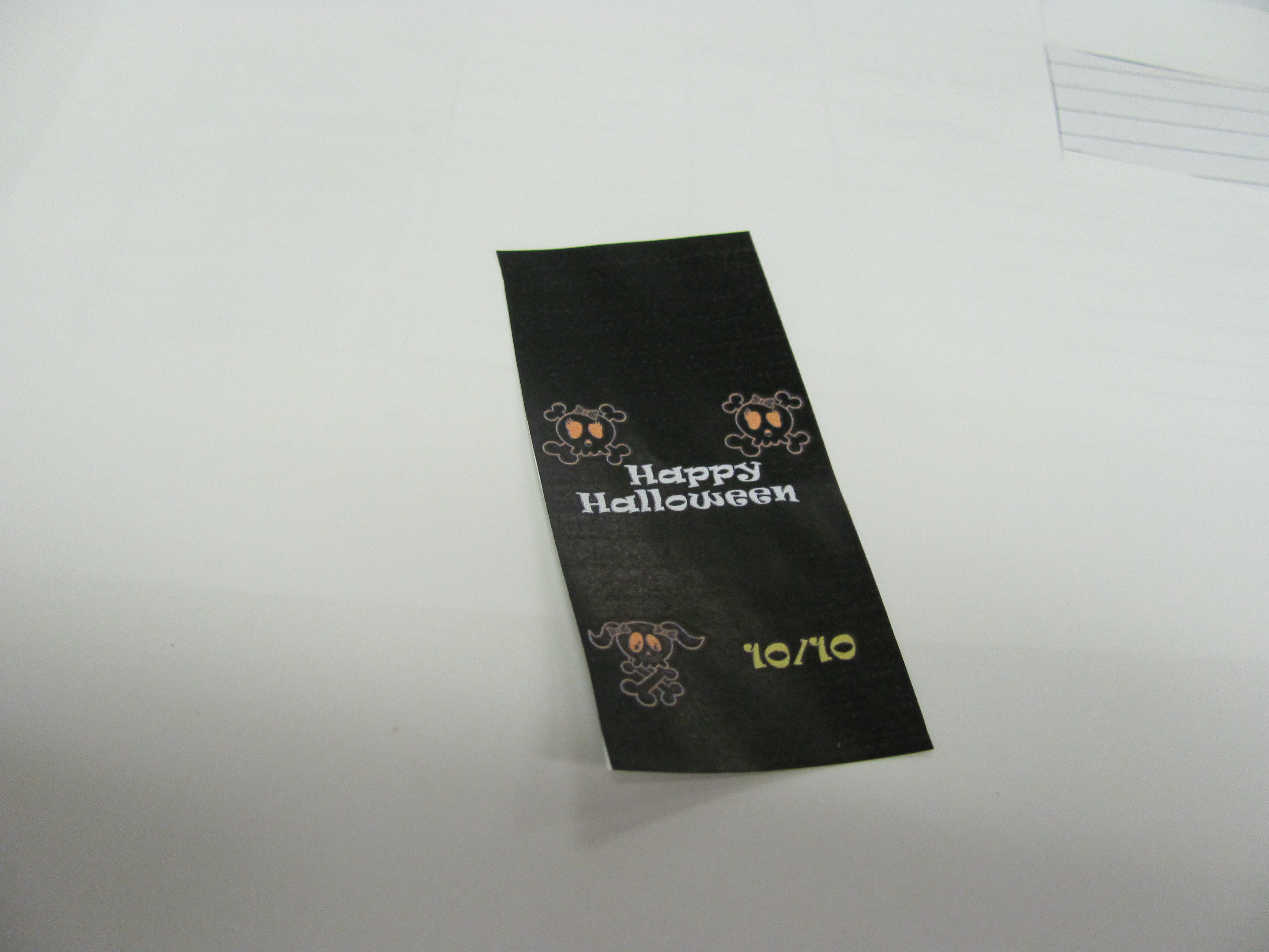 10202010 002.jpg