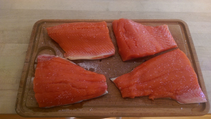 10I Coho salmon.jpg