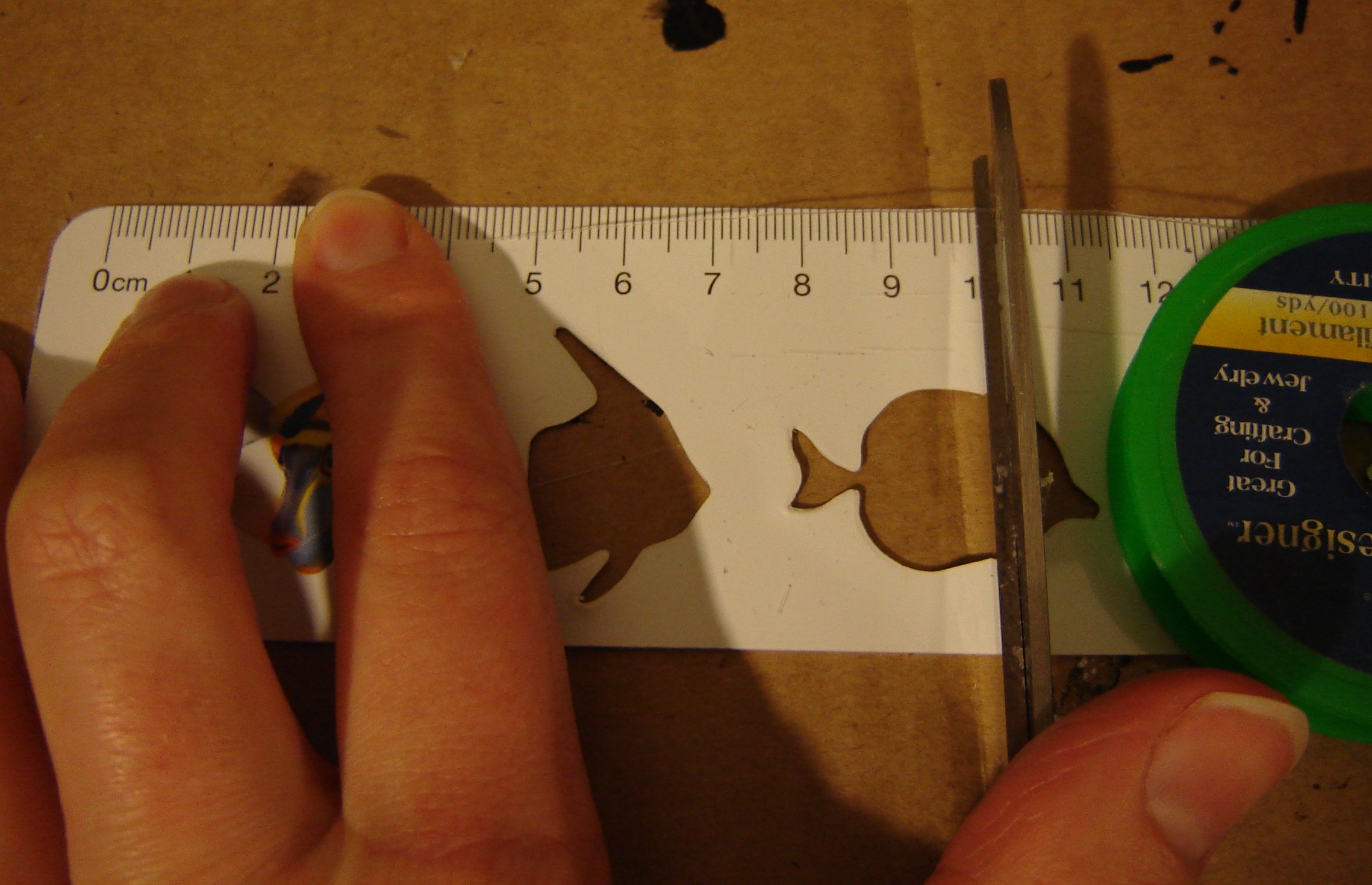 10cm.jpg
