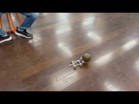 11 de agosto de 2022