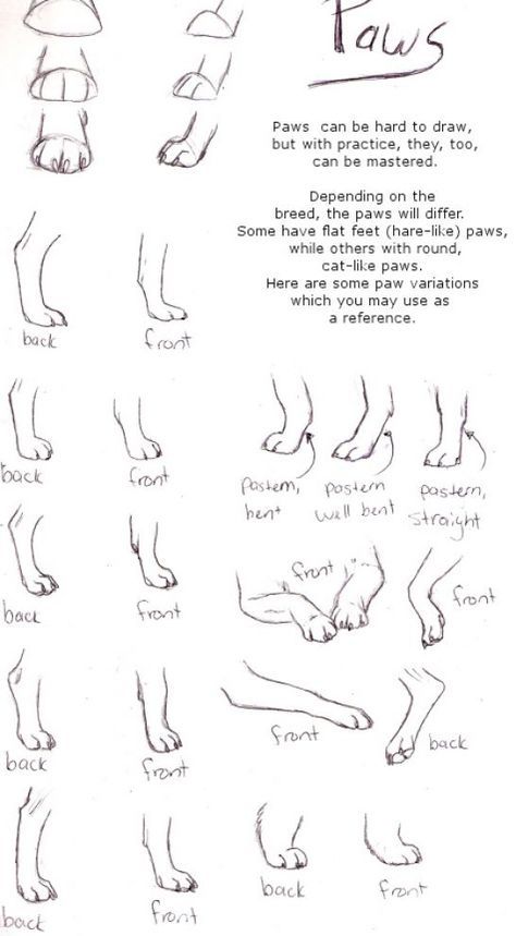 112c51958d04d42906b64457b53399a8--drawing-techniques-drawing-tips.jpg
