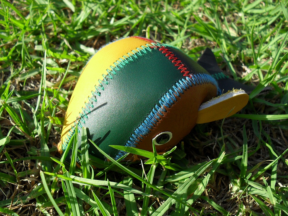 12 Fat Fish Complete.JPG