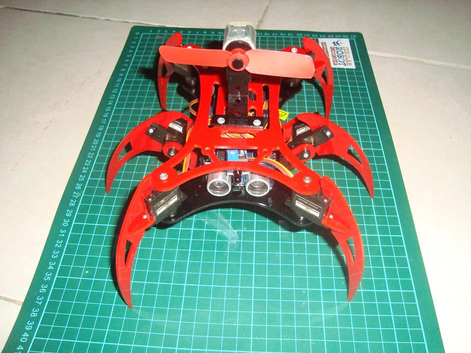 12373225_1075191119179181_4494502578524835600_n.jpg