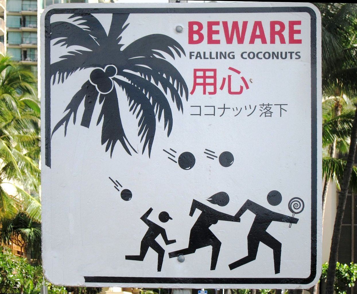 1244px-'BEWARE_FALLING_COCONUTS'_sign_in_Honolulu,_Hawaii.JPG