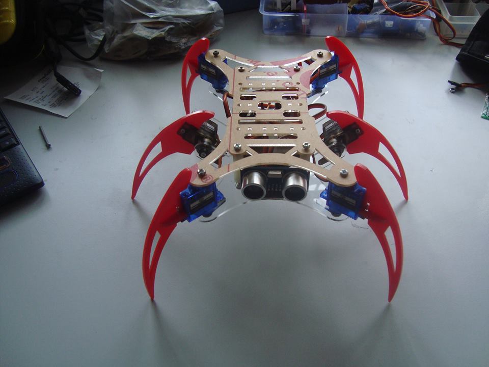12642870_1103751886323104_6015410420538344100_n.jpg
