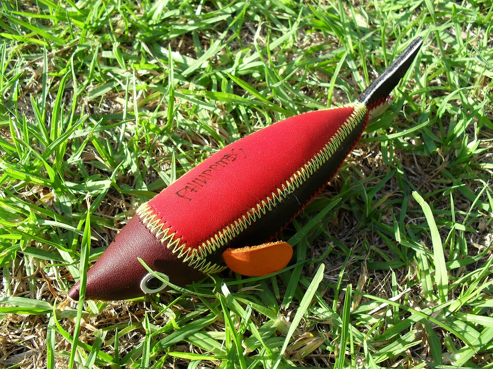 13 Thin Fish Complete.JPG