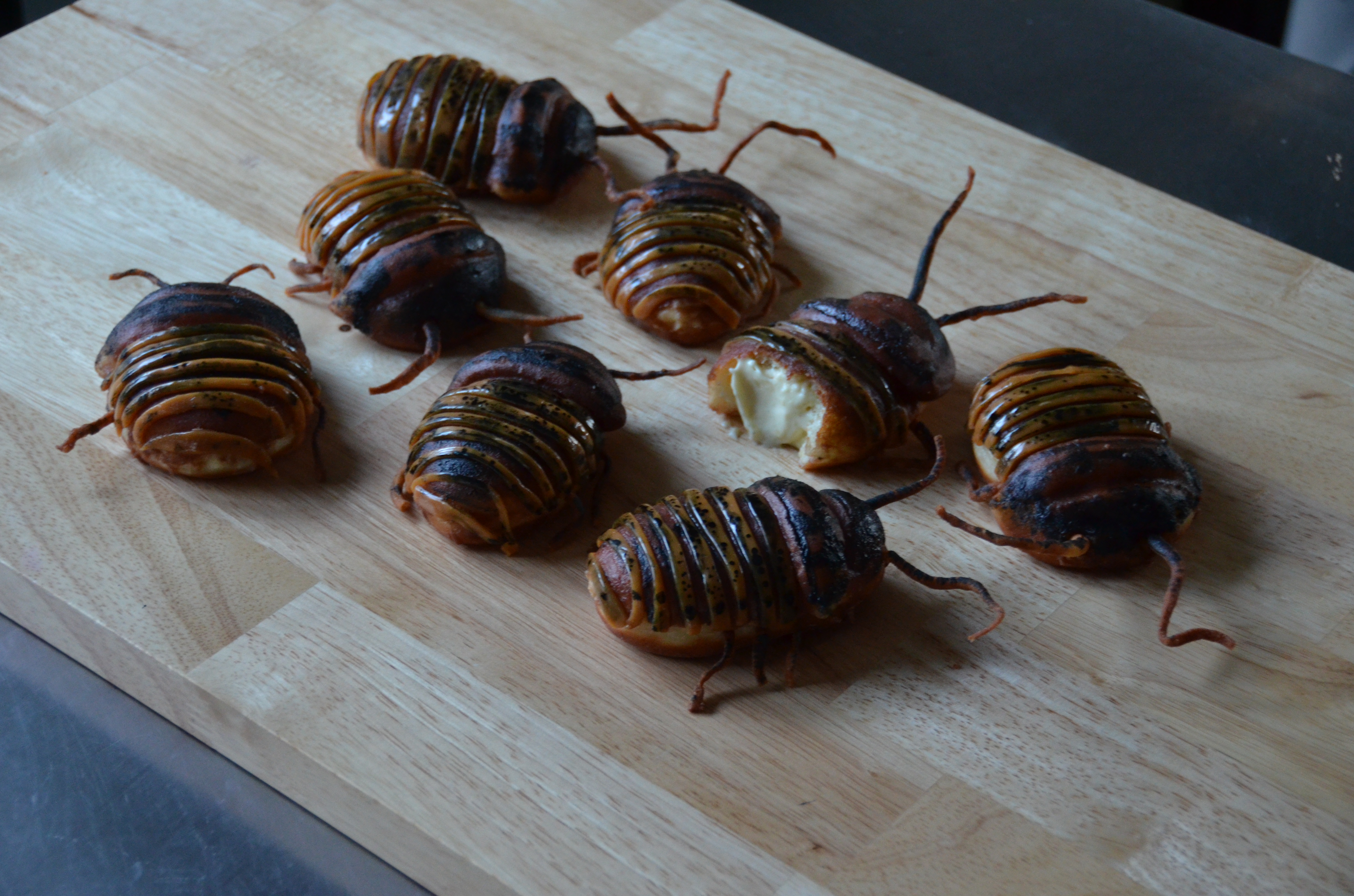 14 - Cockroach Donuts.JPG