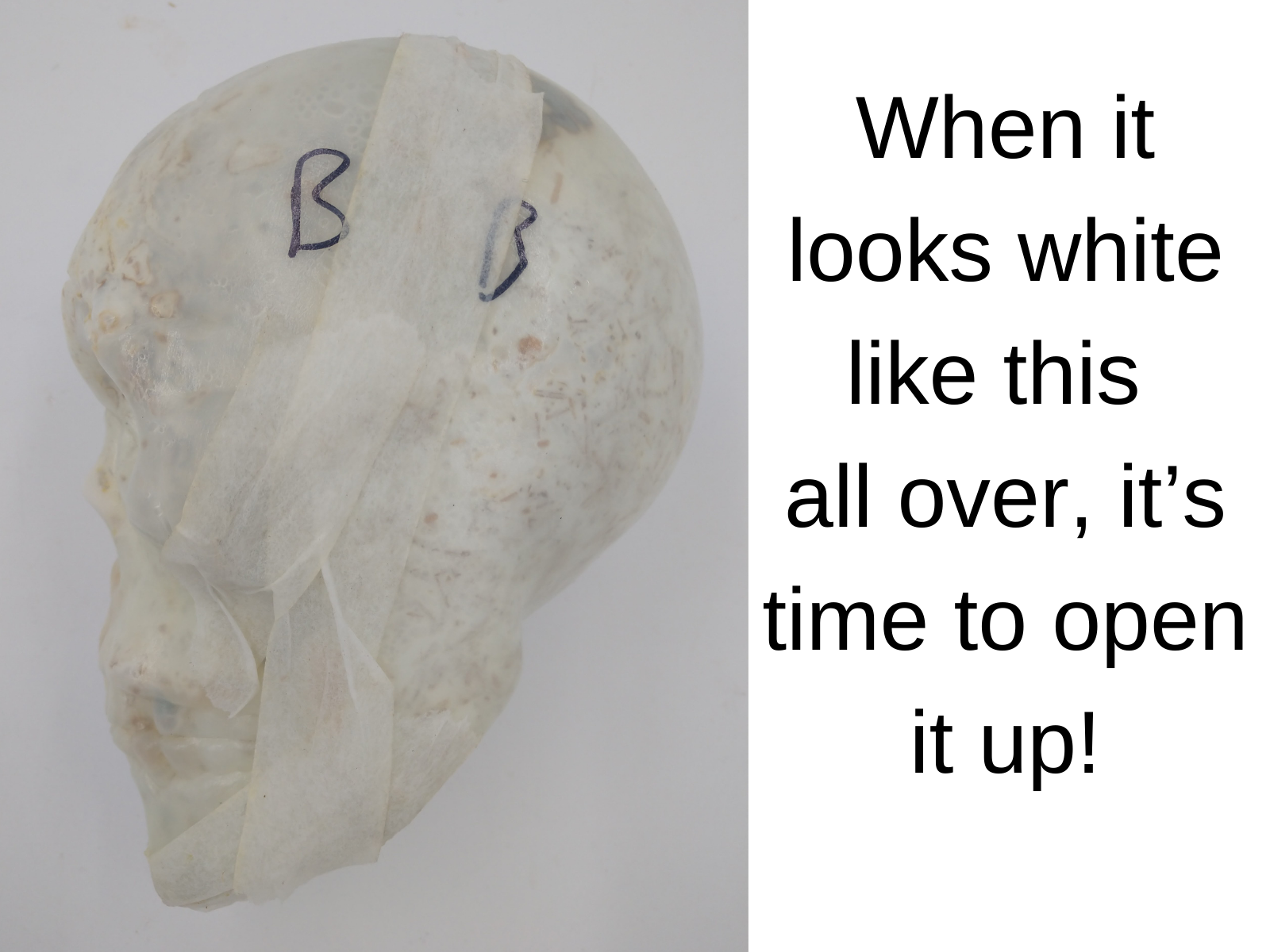 15.png