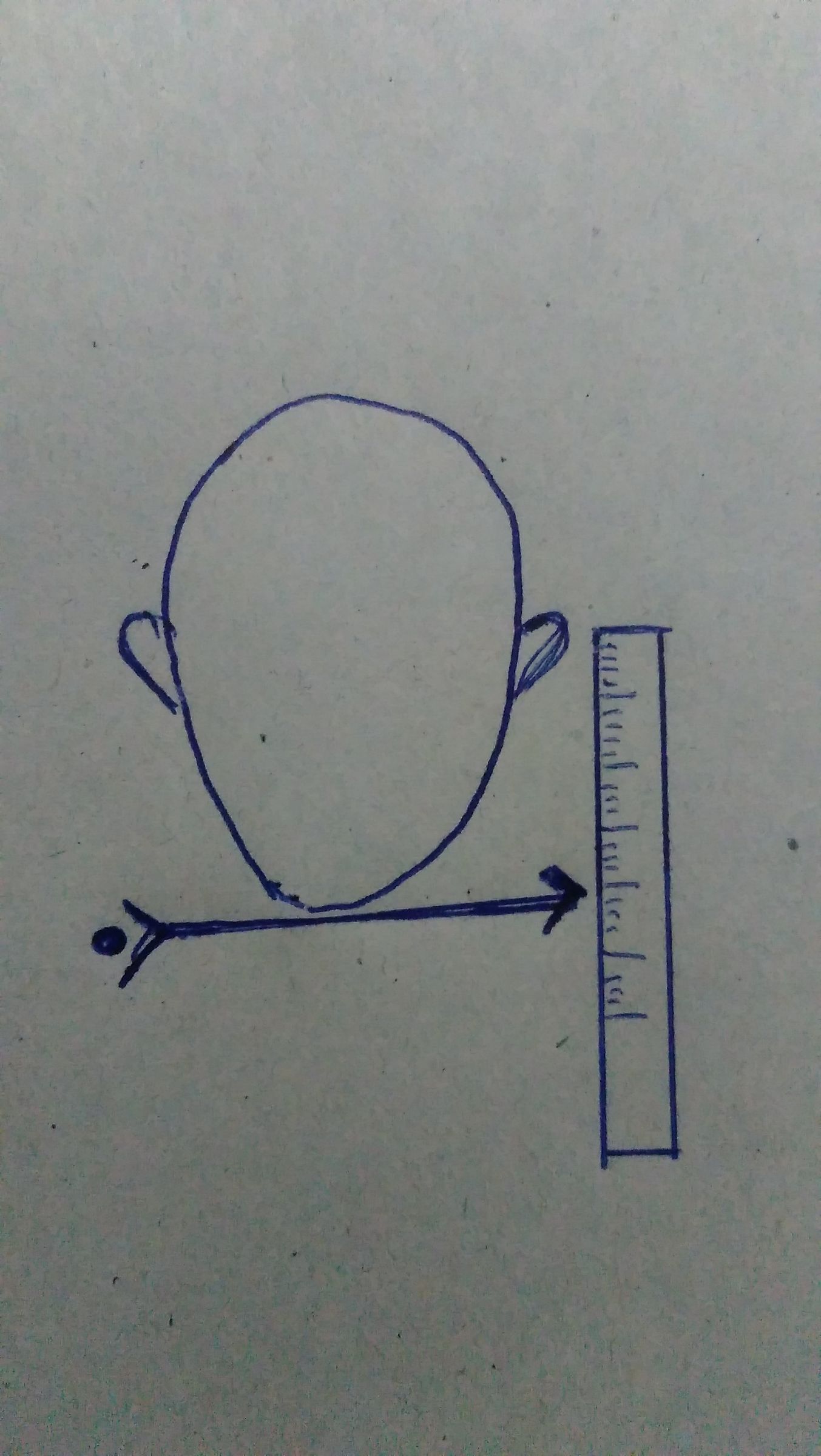 1518959757099539692619.jpg