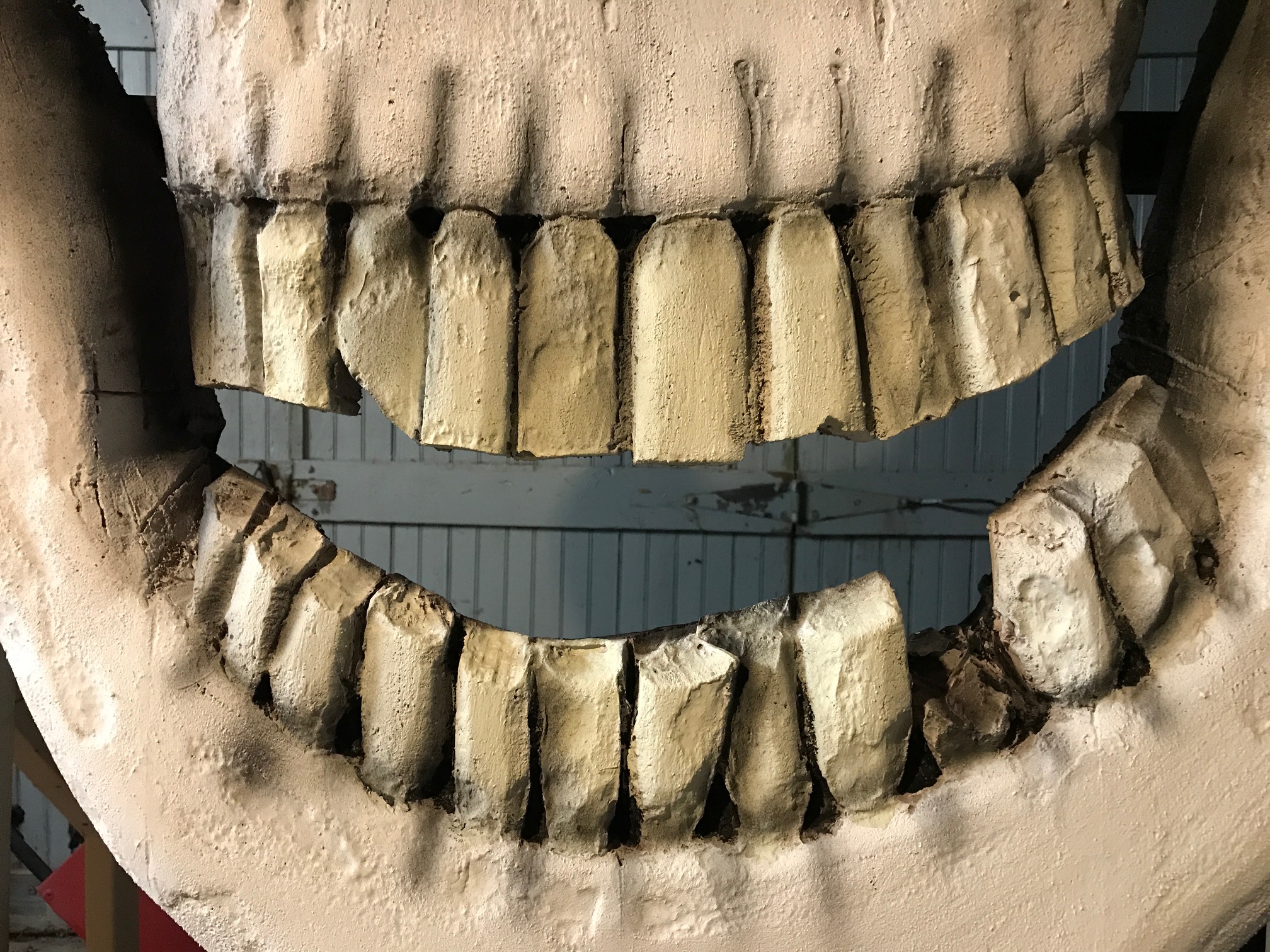 16 teeth detail.JPG