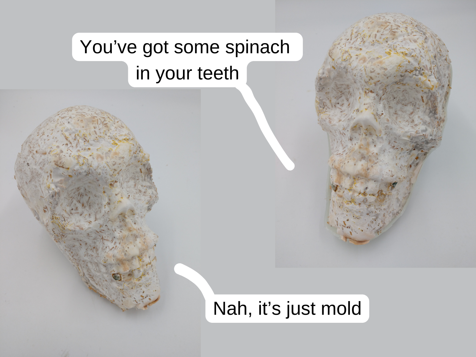16.png