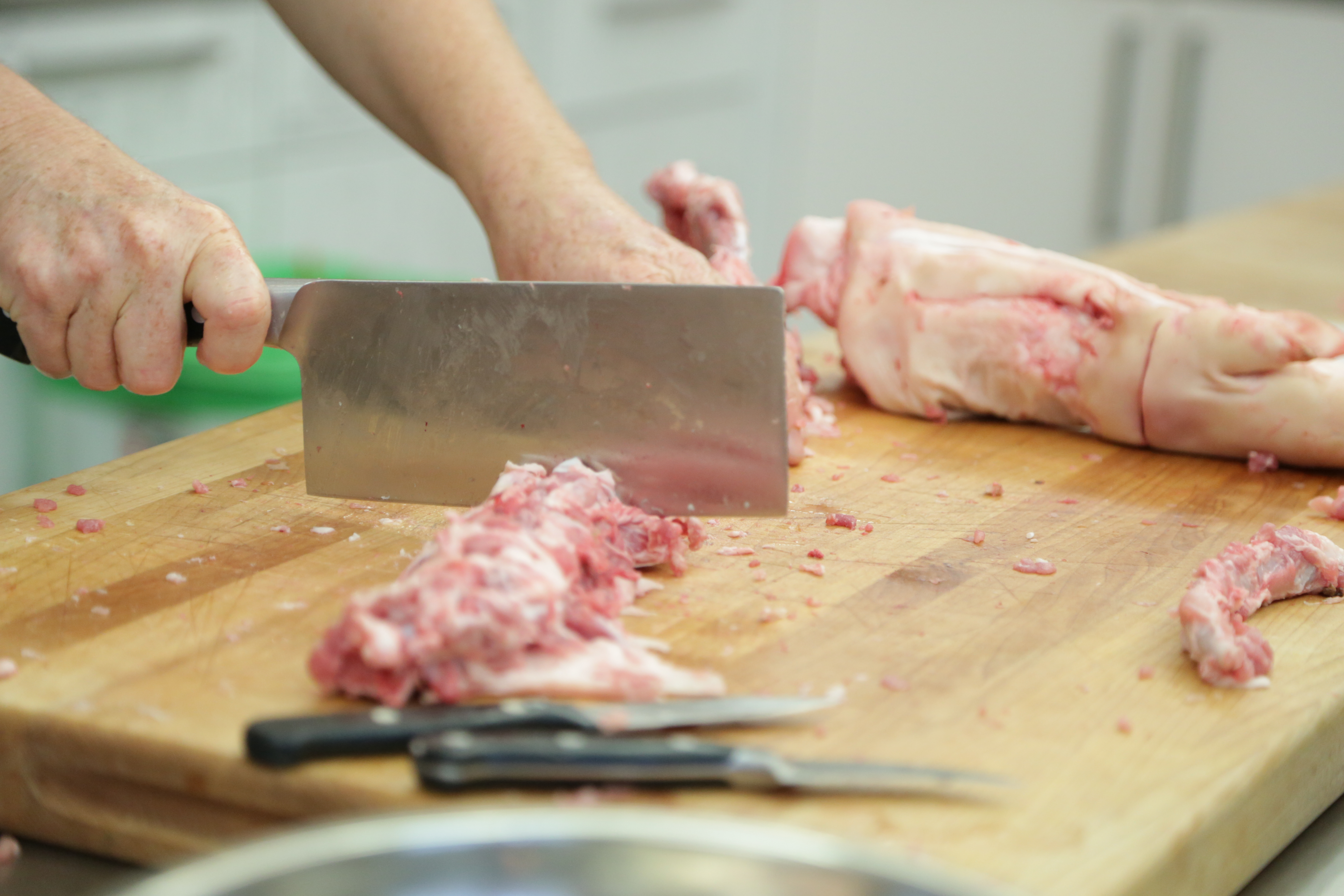 1a_cut bones.jpg