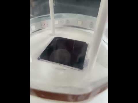 1st Trial - Thermoelectric Cloud Chamber