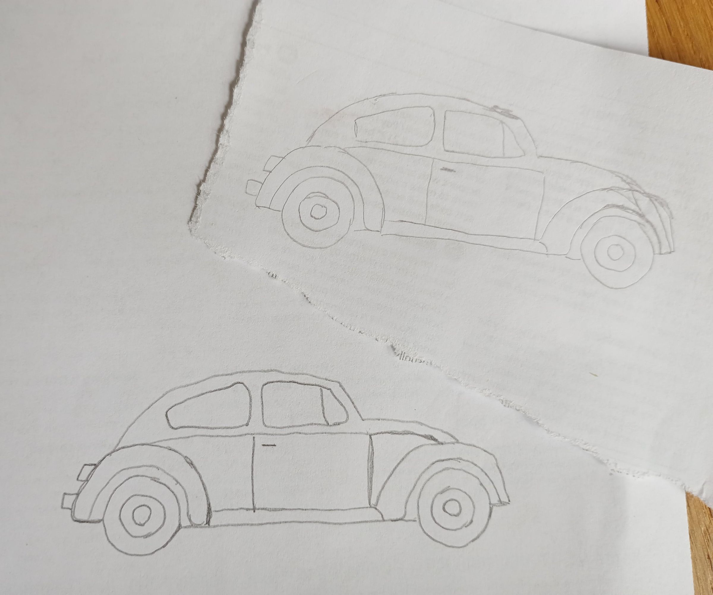 2 Beetle patterns.jpg