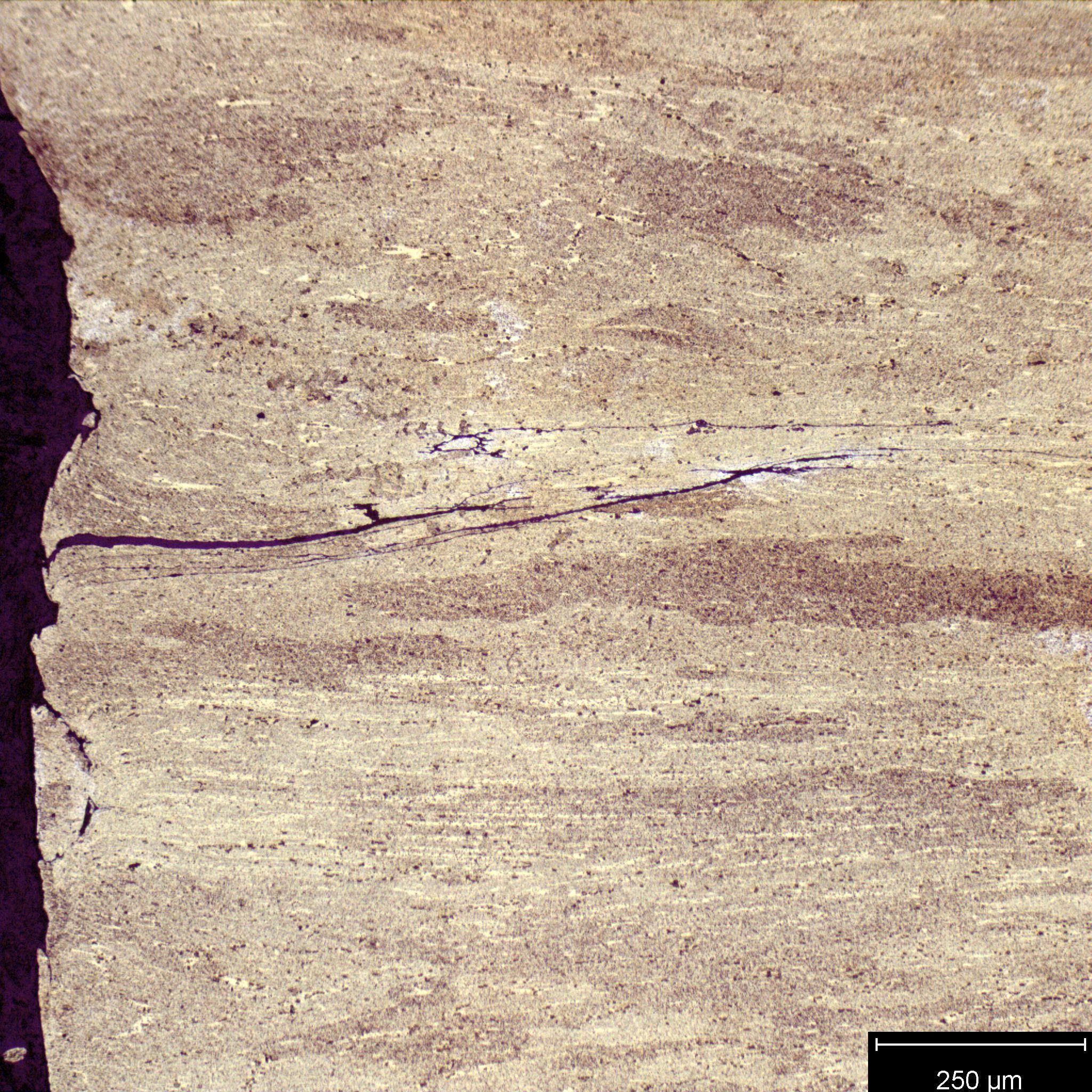 2-FC-100X-ETCHED-001.jpg