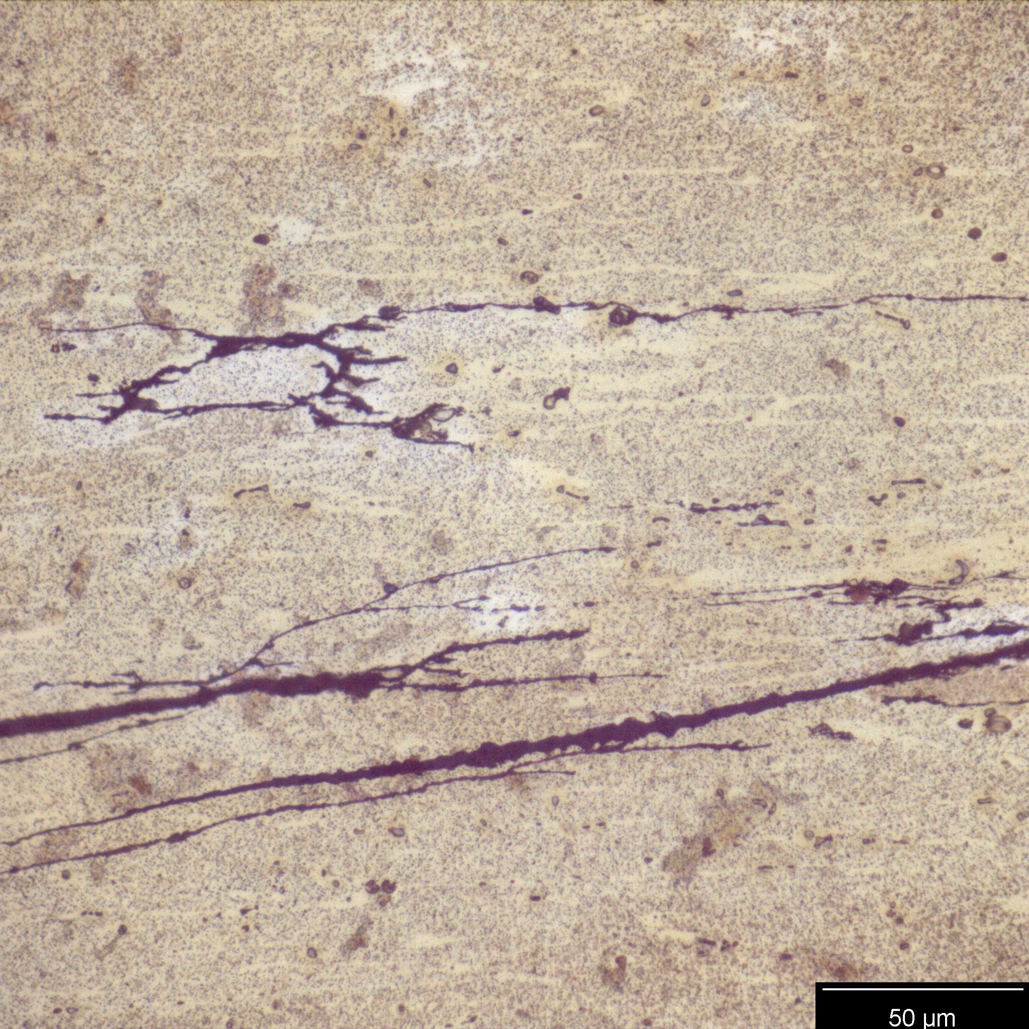 2-FC-500X-ETCHED-001.jpg