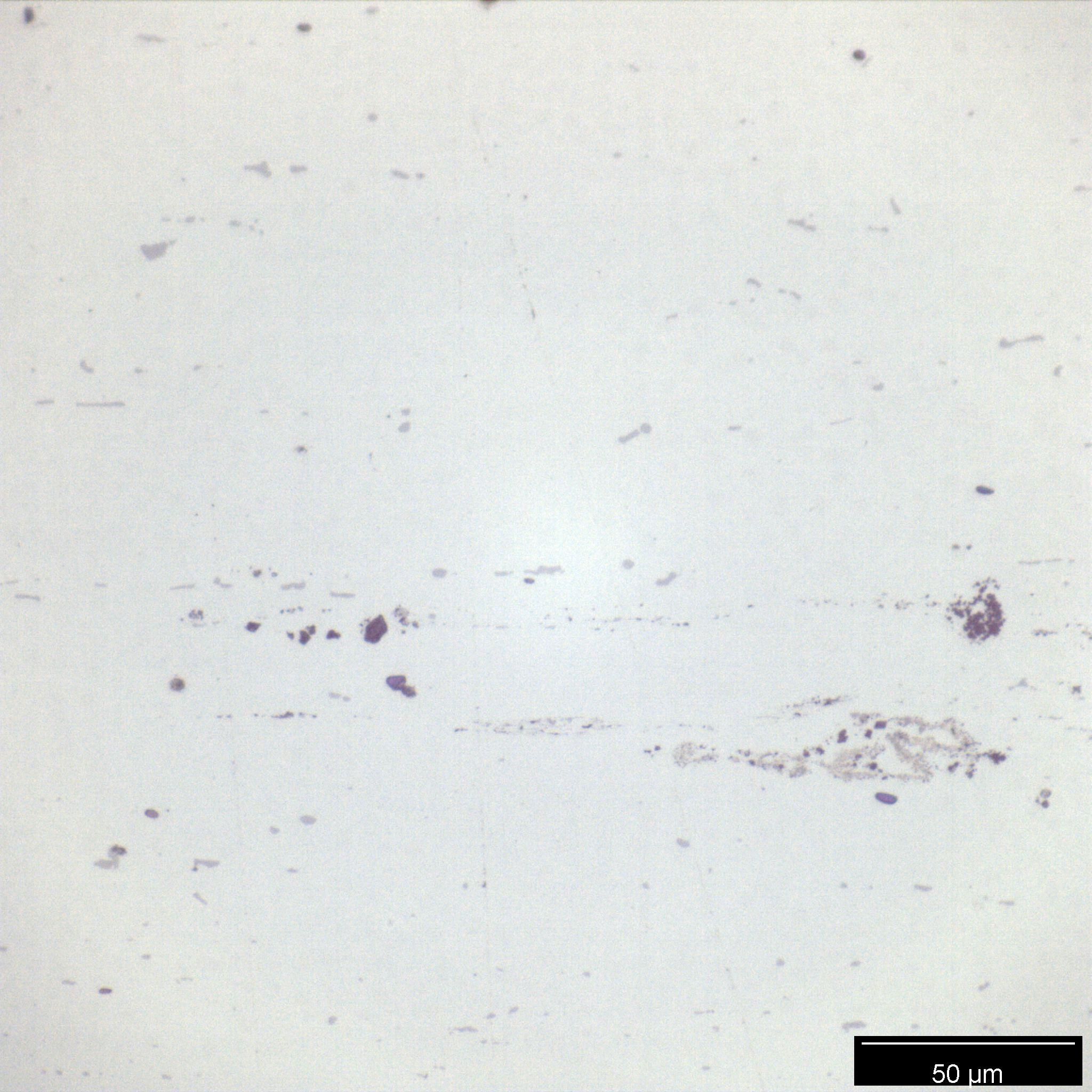 2-FC-500X-UNETCHED-002.jpg