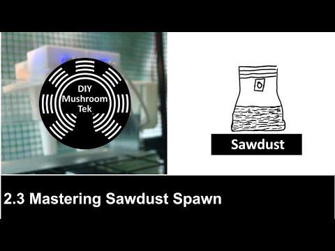 2.3 Mastering Sawdust Spawn