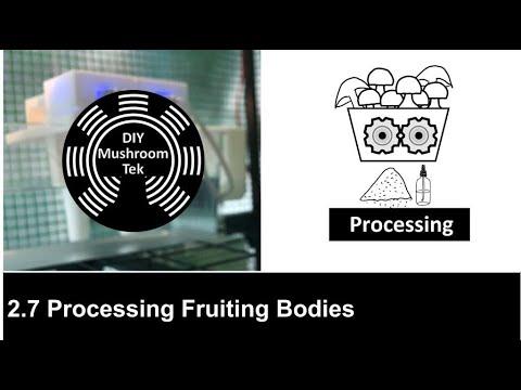 2.7 Processing Fruiting Bodies of Mushrooms