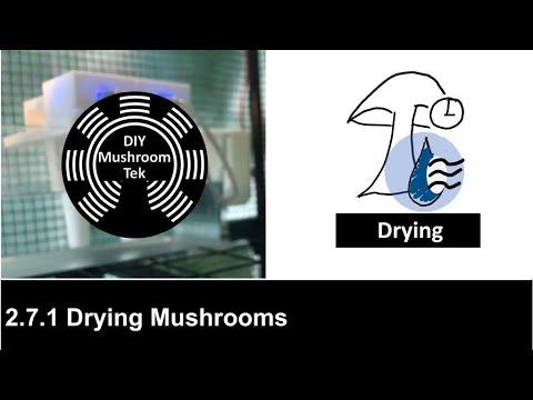 2.7.1 Drying Mushrooms