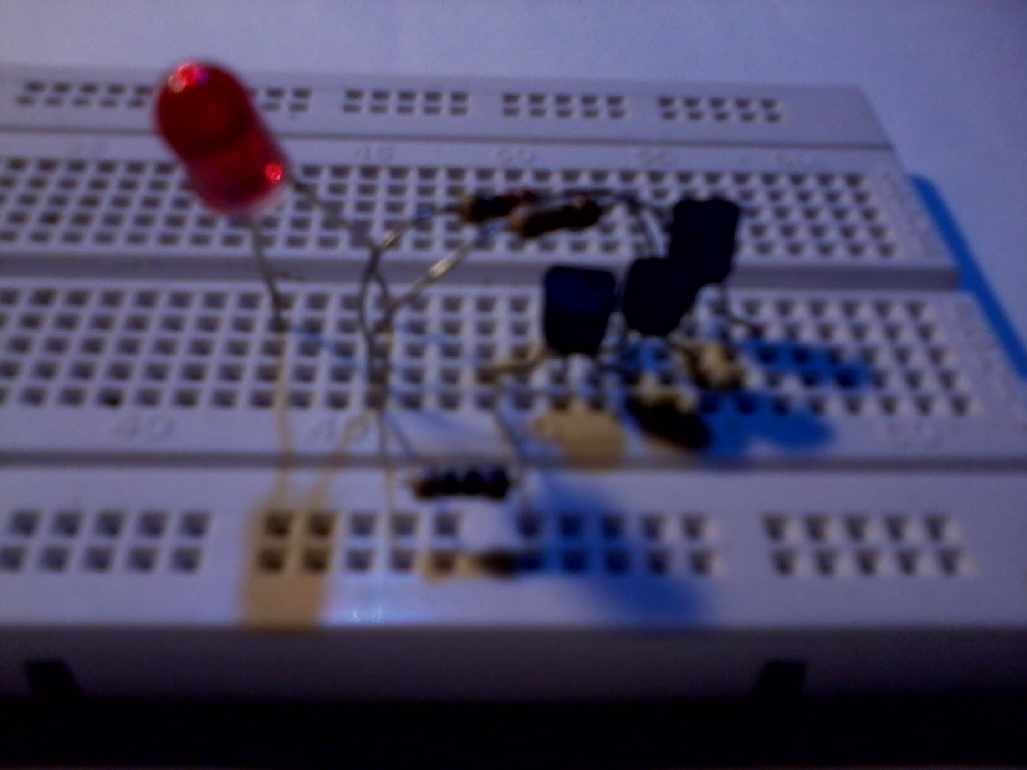 2011-01-03 17.12.04.jpg