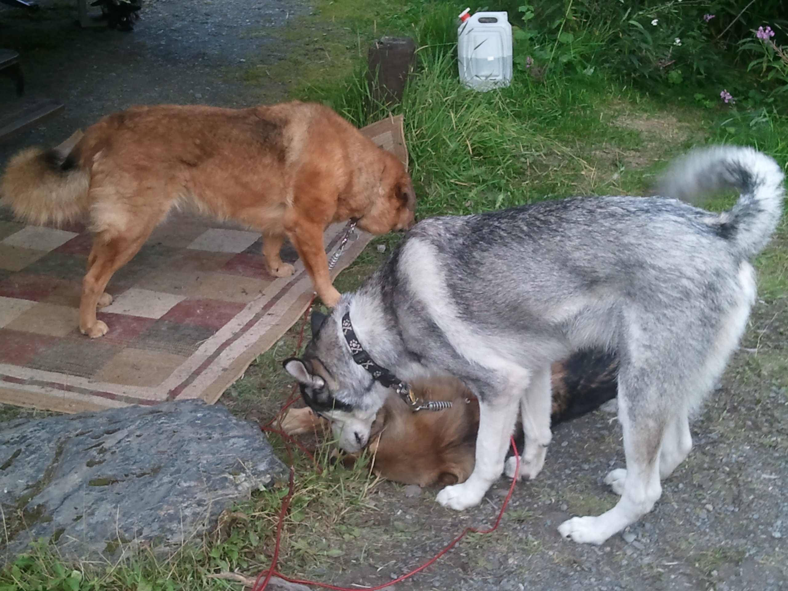 2011-08-13 20.51.49.jpg
