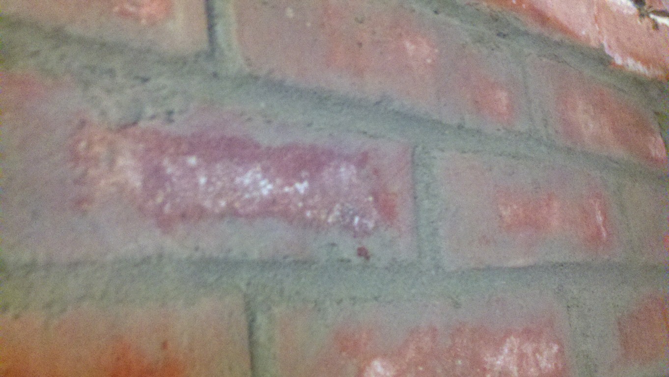 2012-02-12_10-16-37_130.jpg