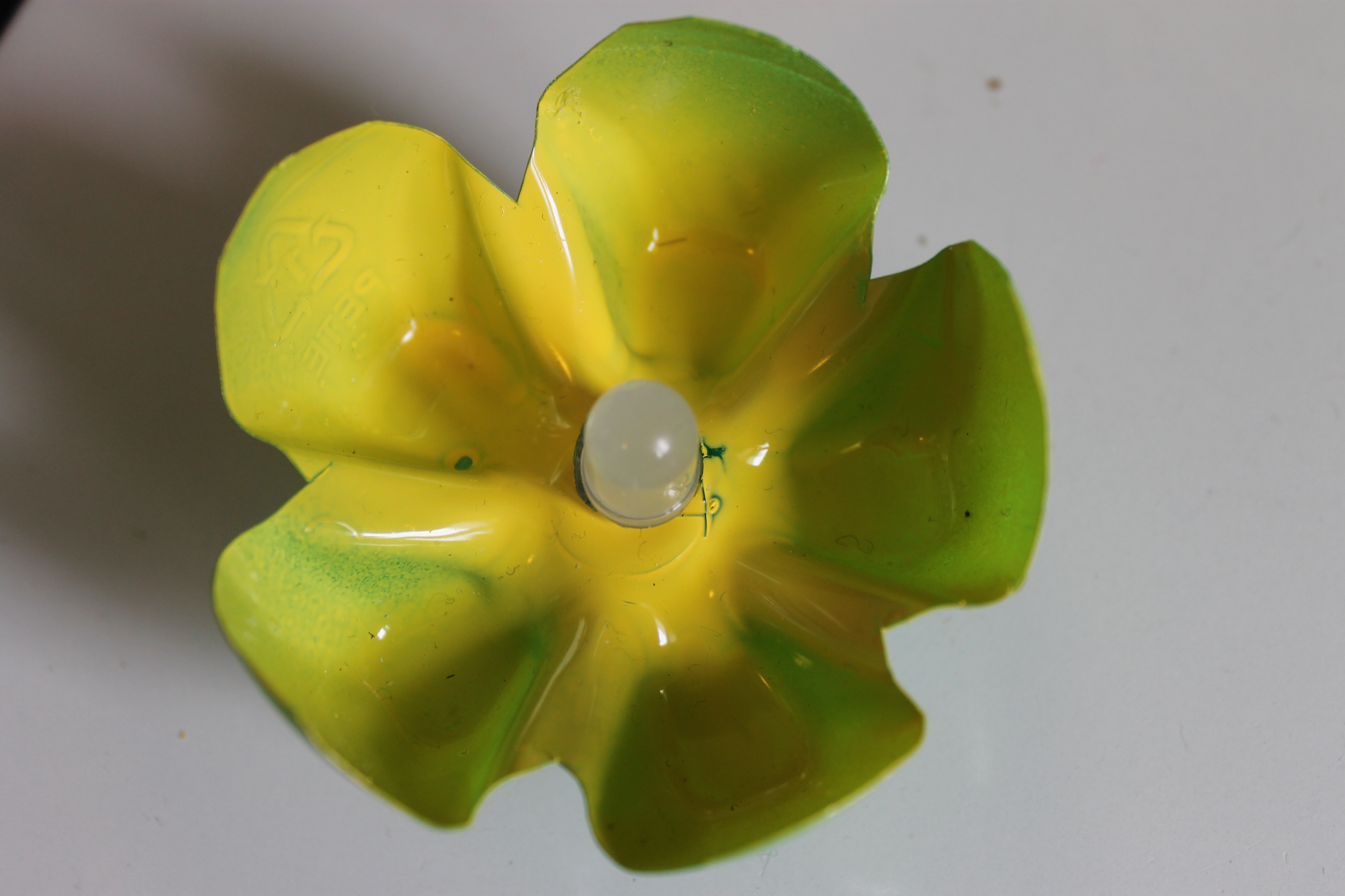 2012_04_25_054.JPG
