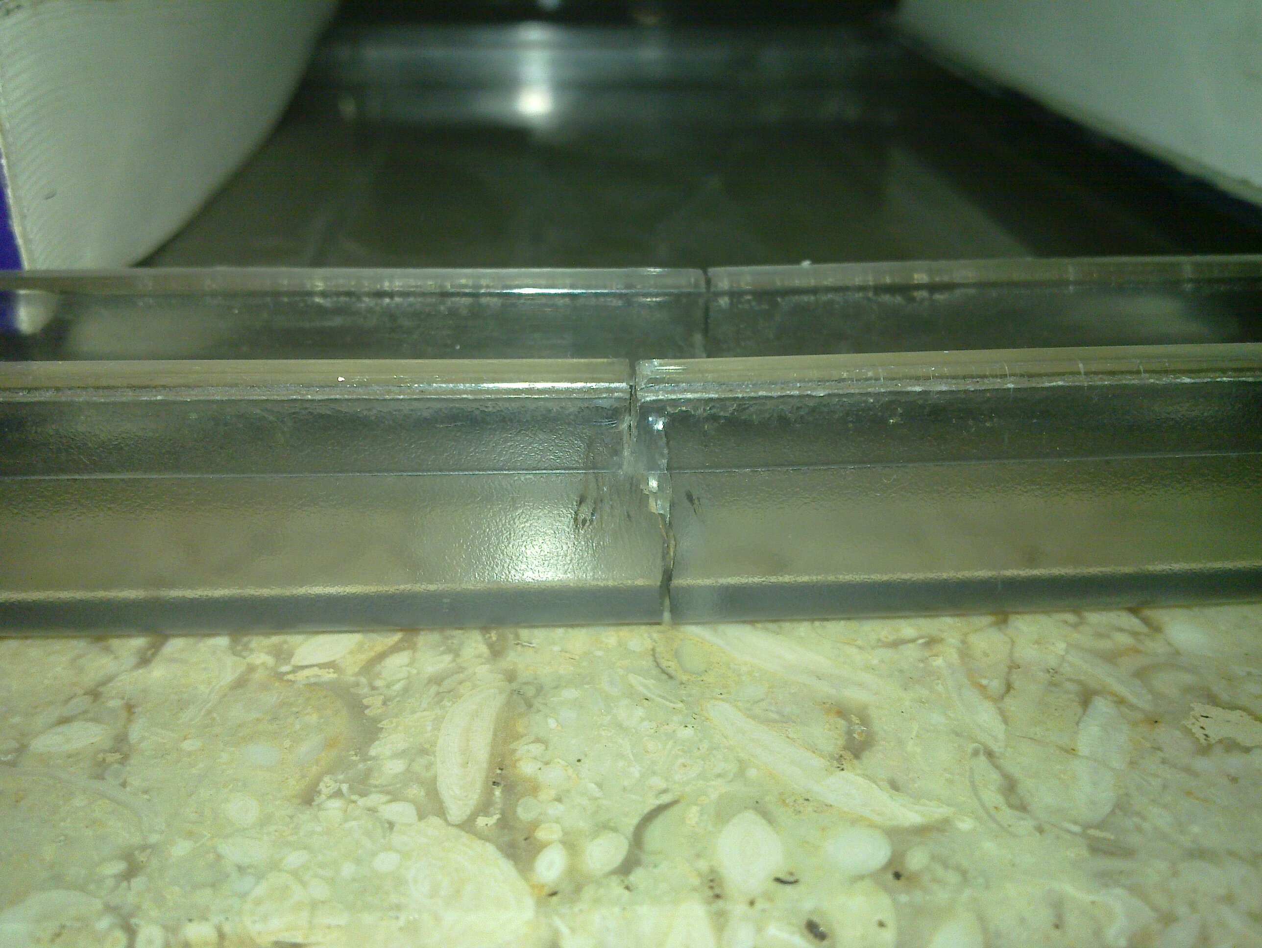 20130804_009.jpg