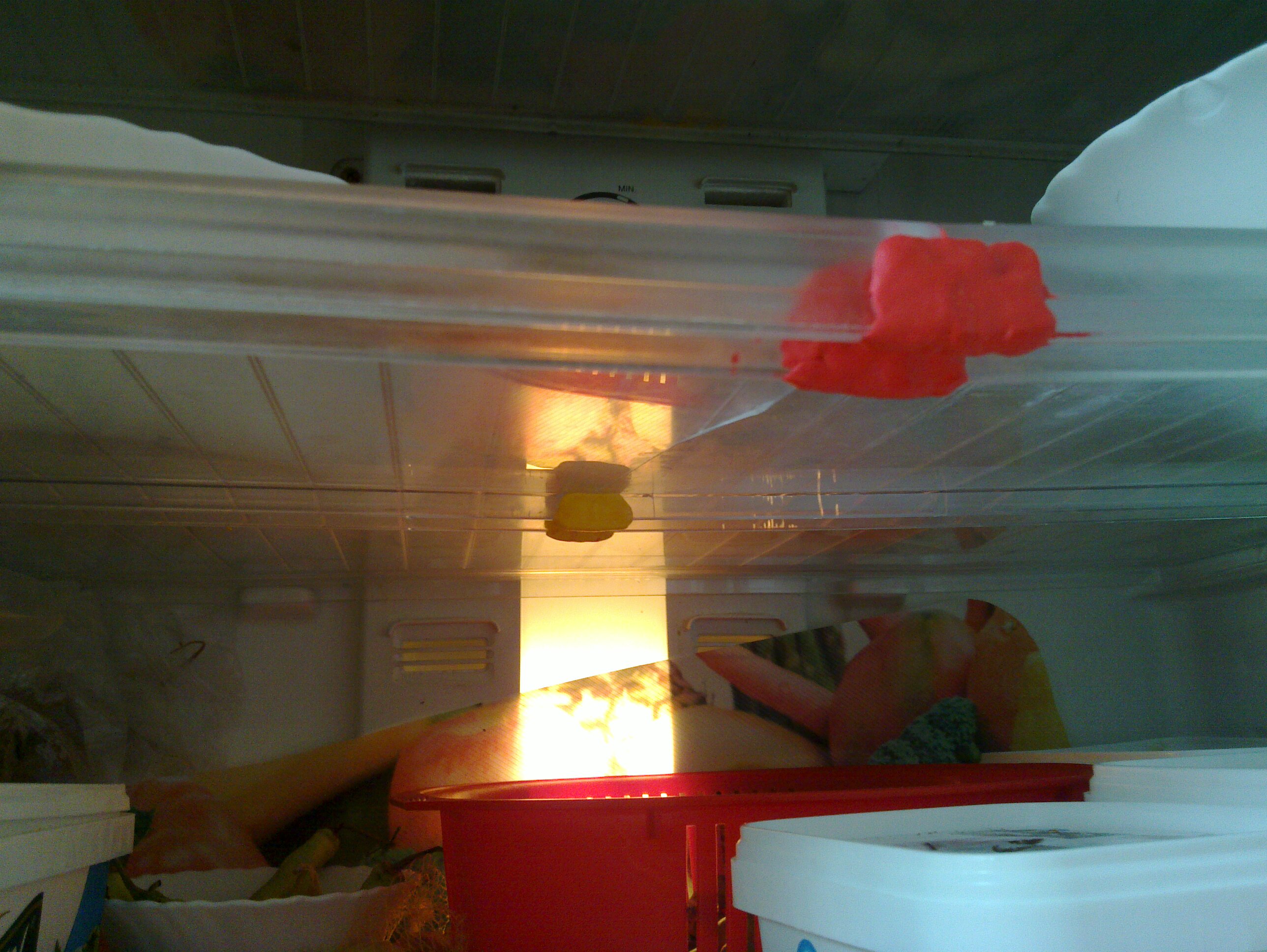 20130805_003.jpg