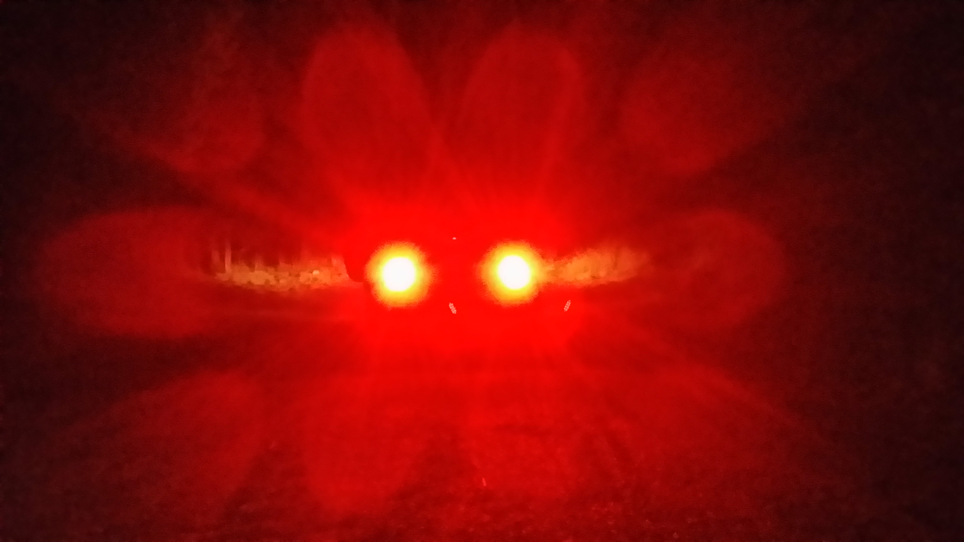 20140425_222204.jpg