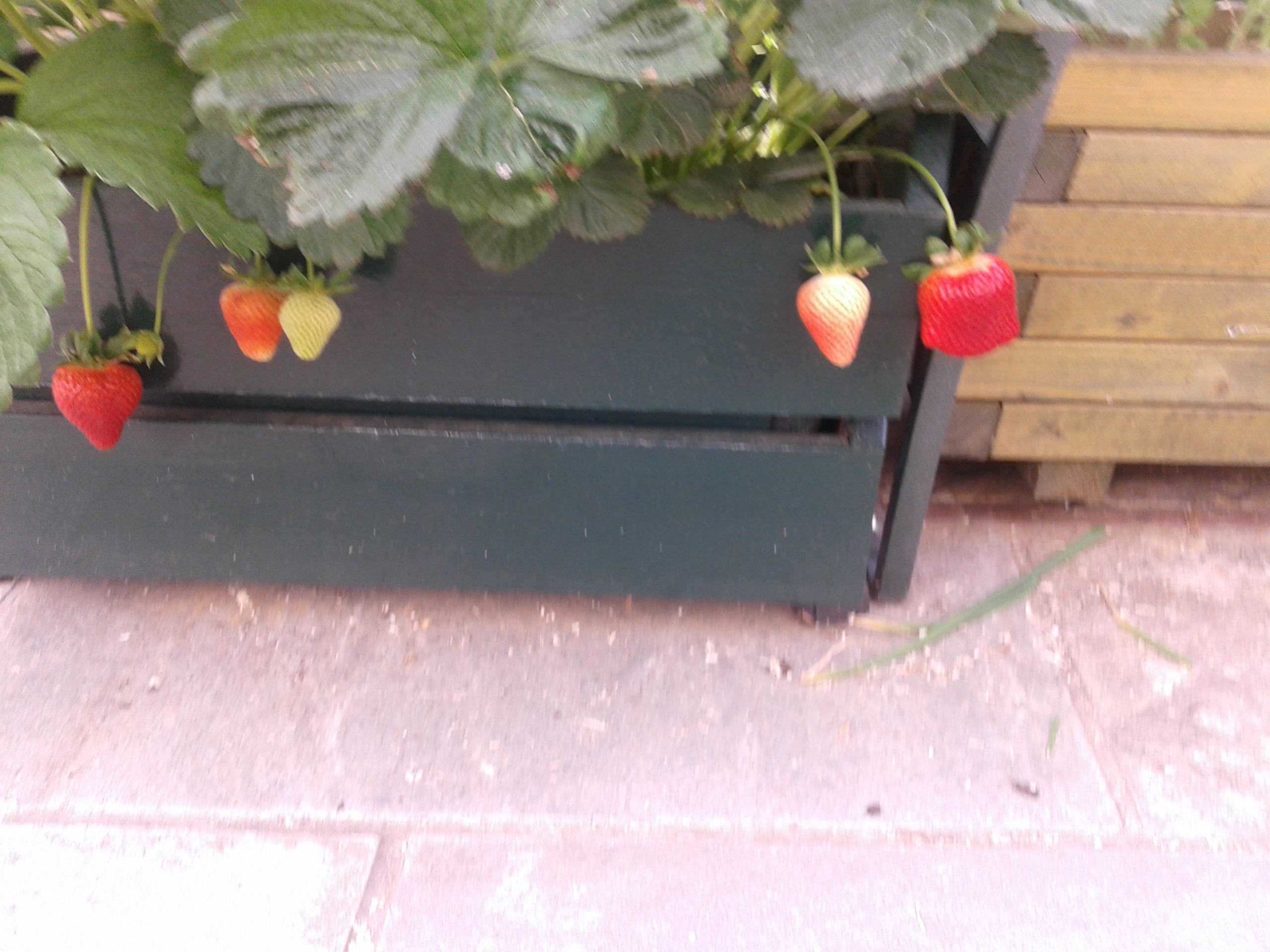 20140510_110943.jpg