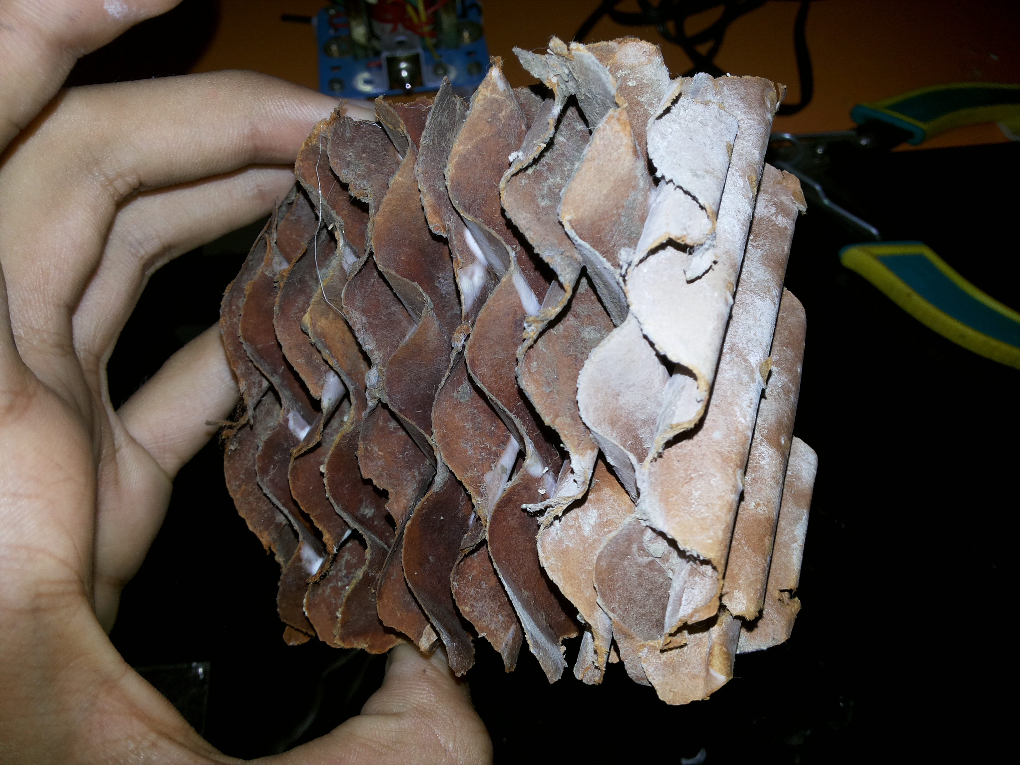 20140522_153053.jpg