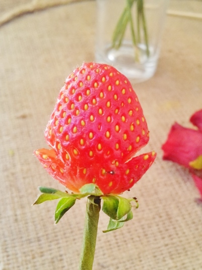 20140526_150009 (600x800).jpg