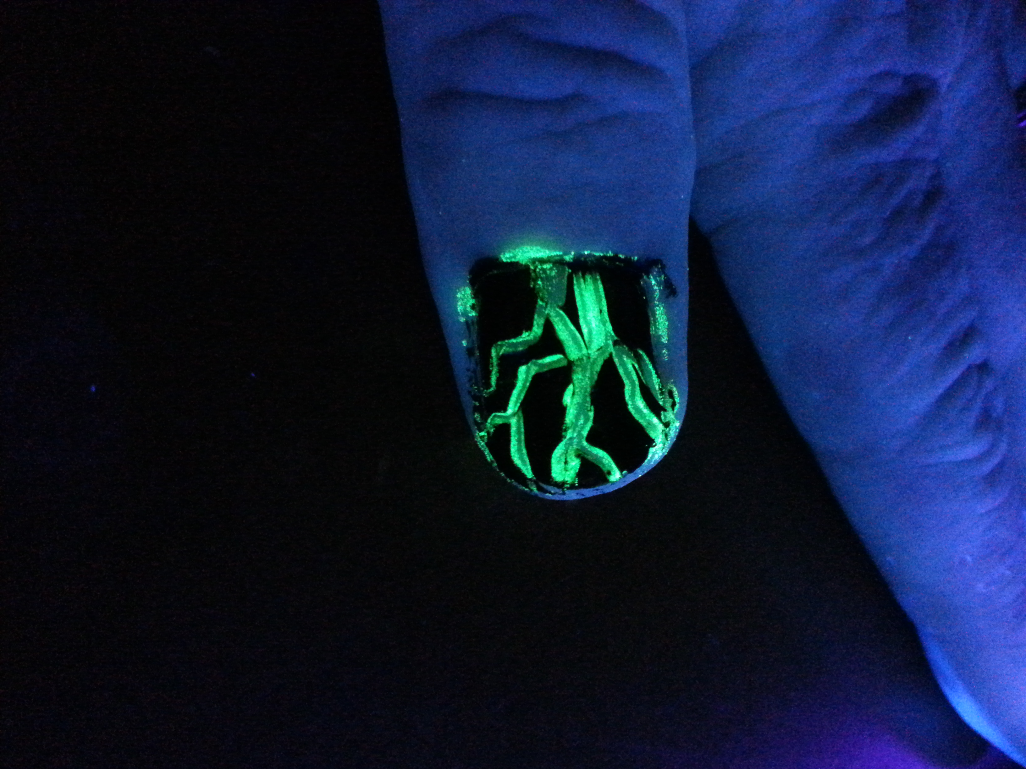 20140728_215217.jpg