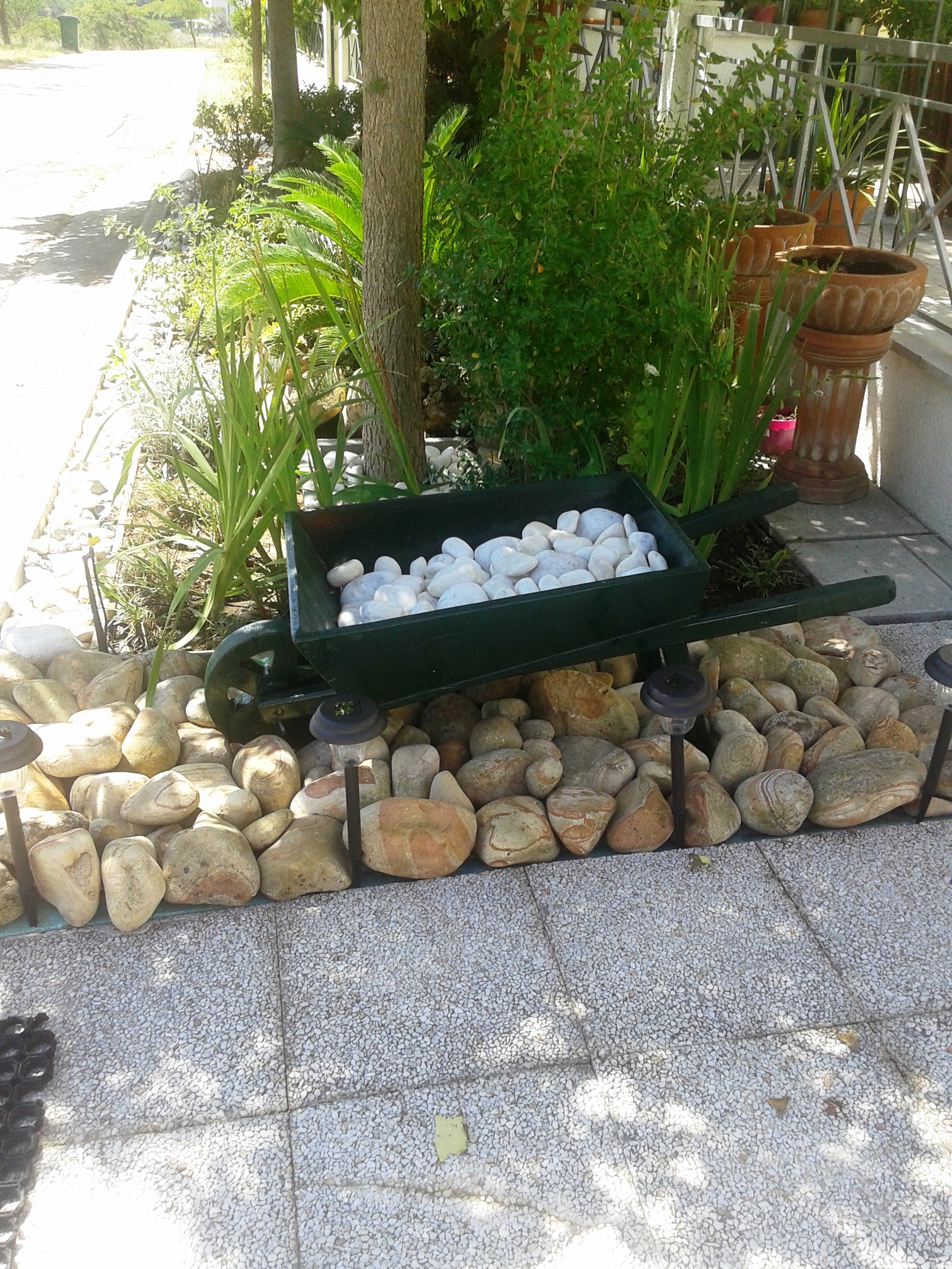 20140824_125439.jpg
