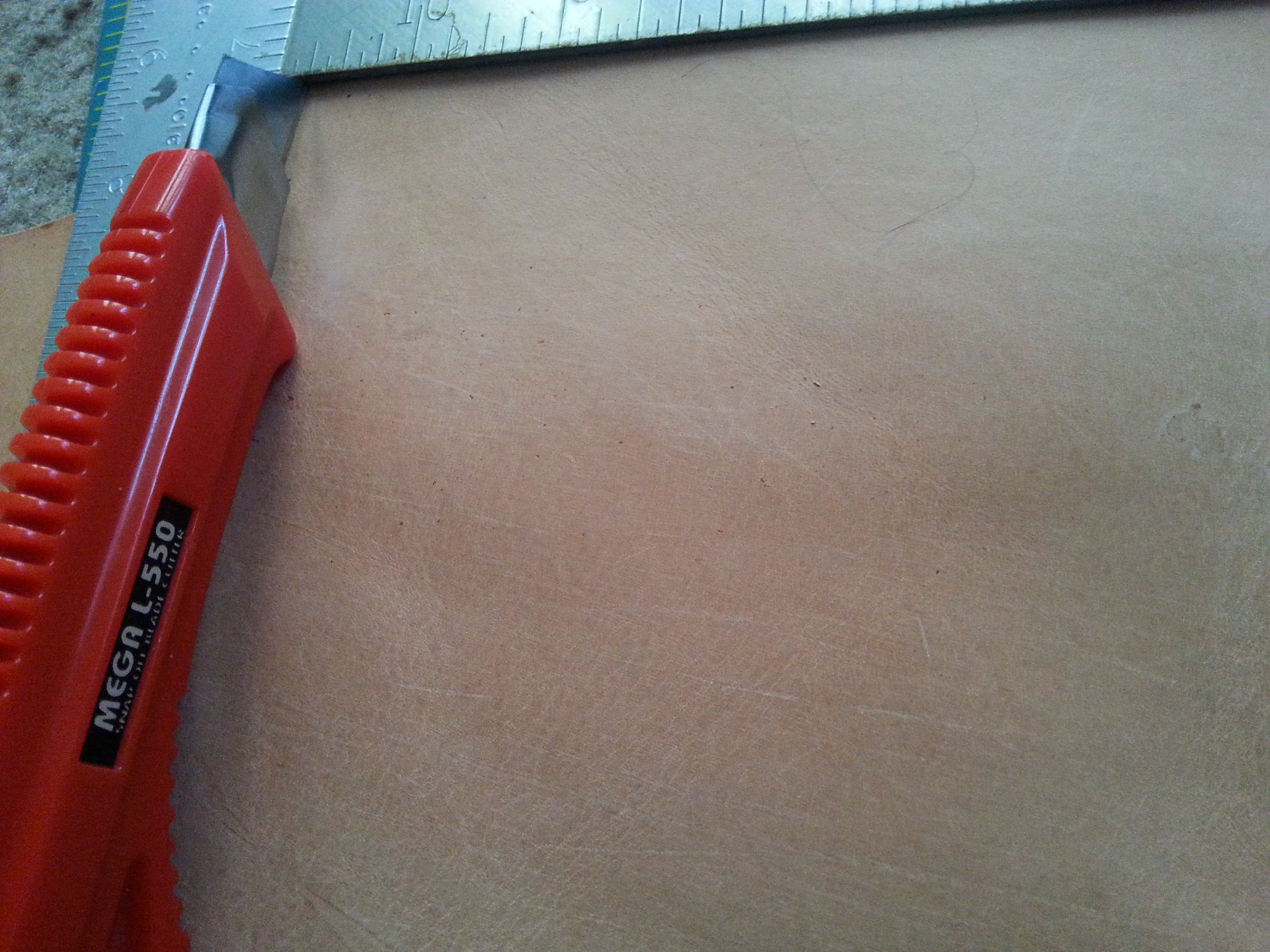 20140829_124730.jpg