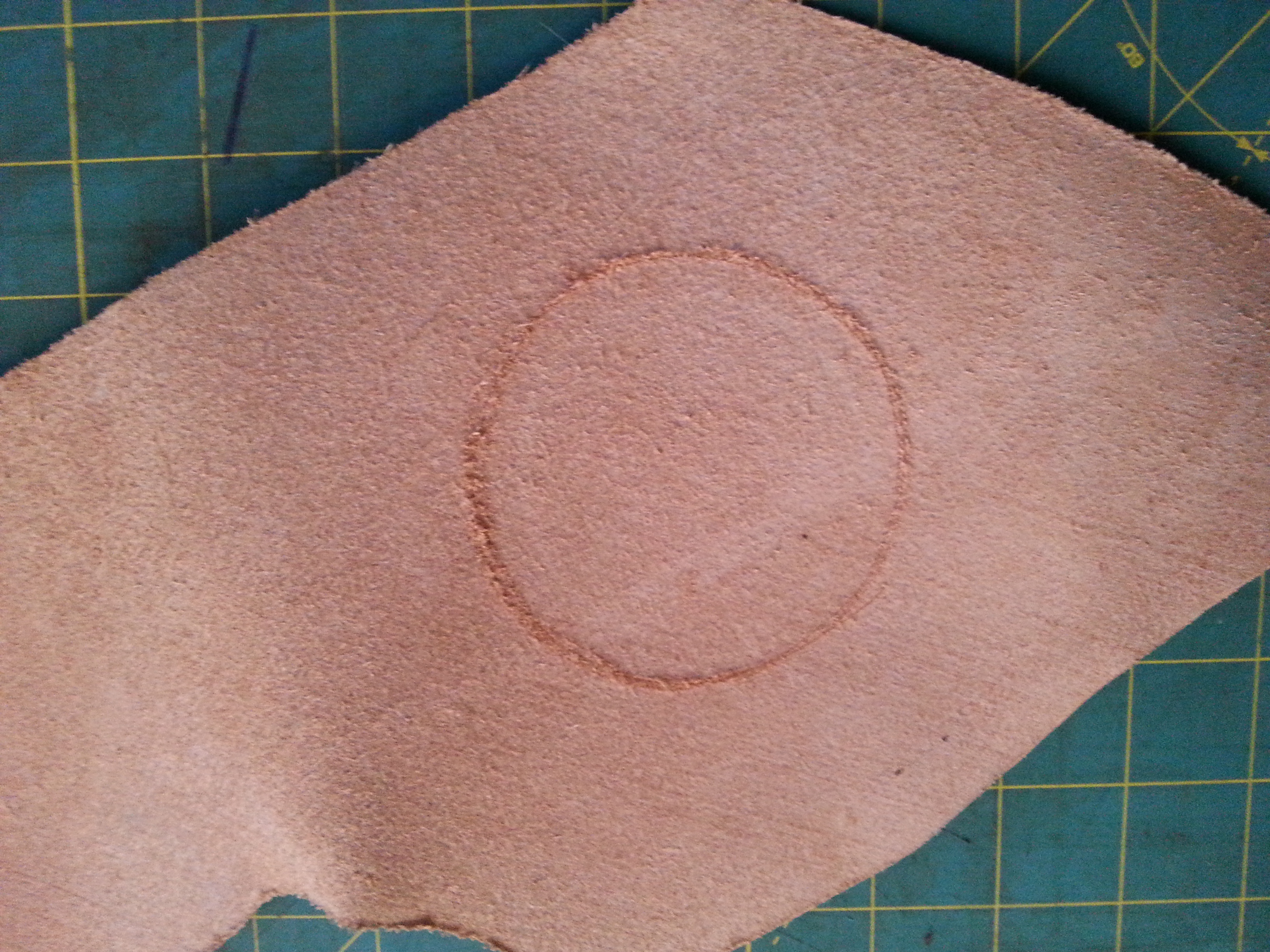 20140829_130353.jpg