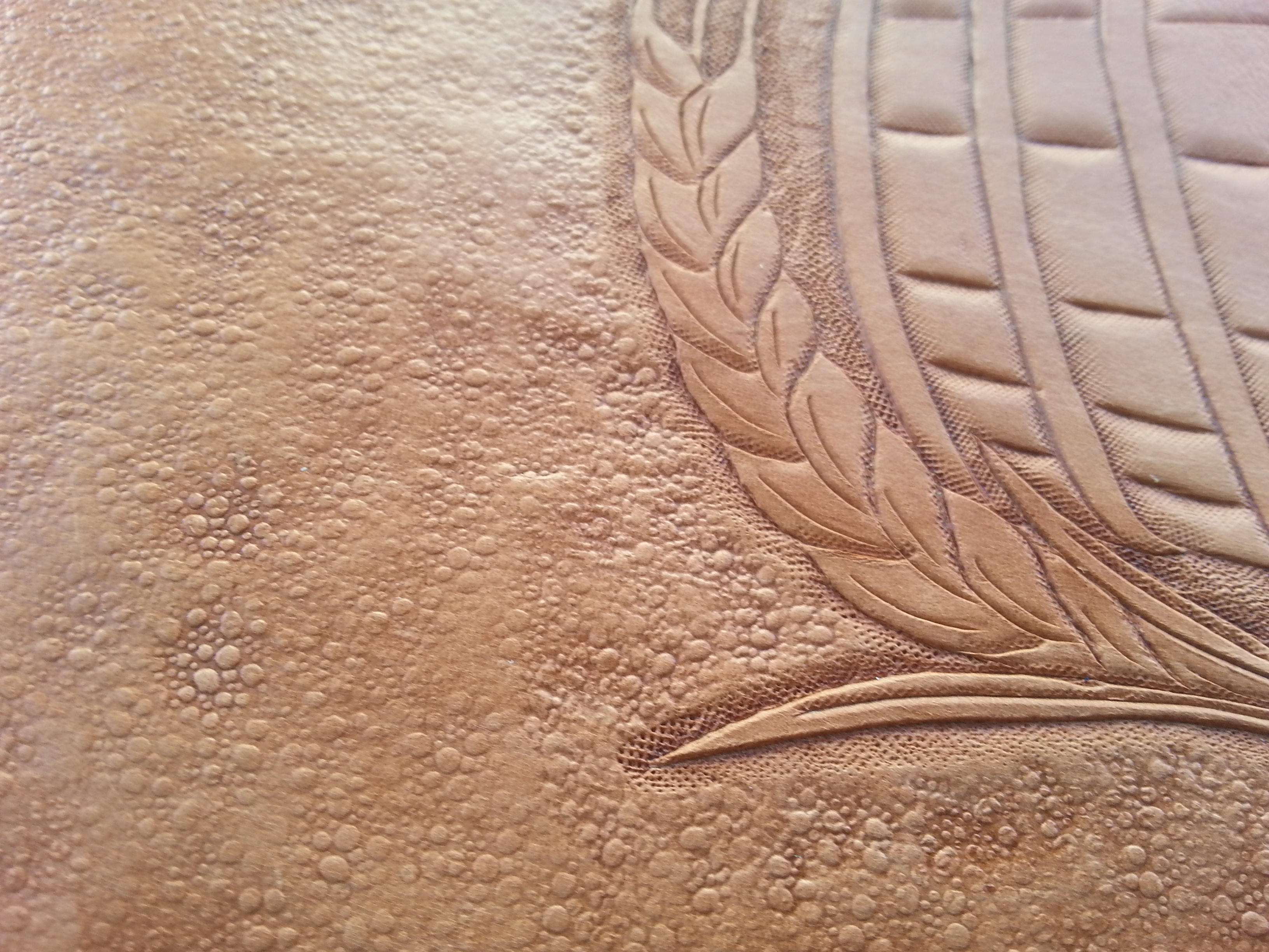 20140831_150514.jpg