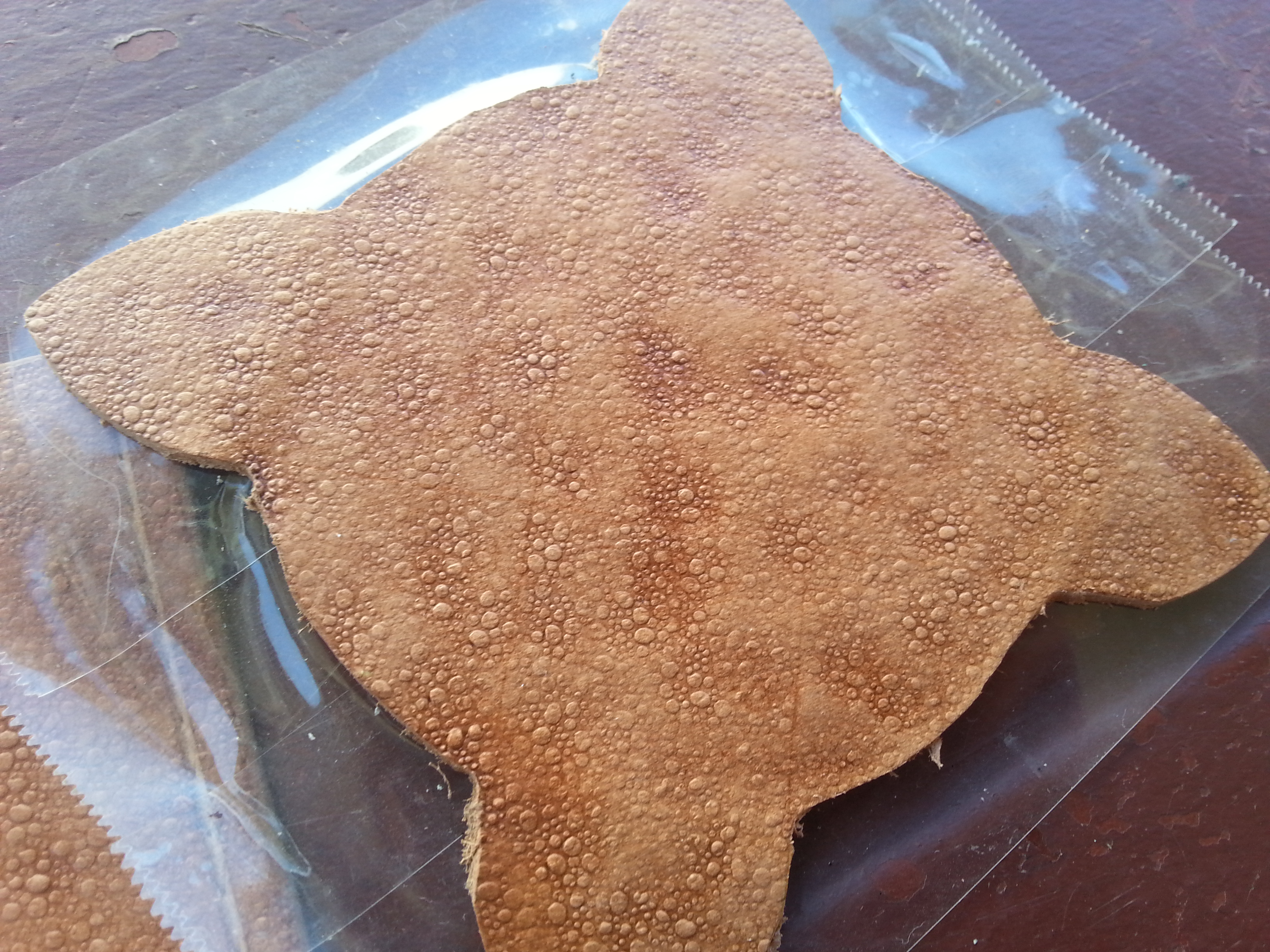 20140831_150519.jpg