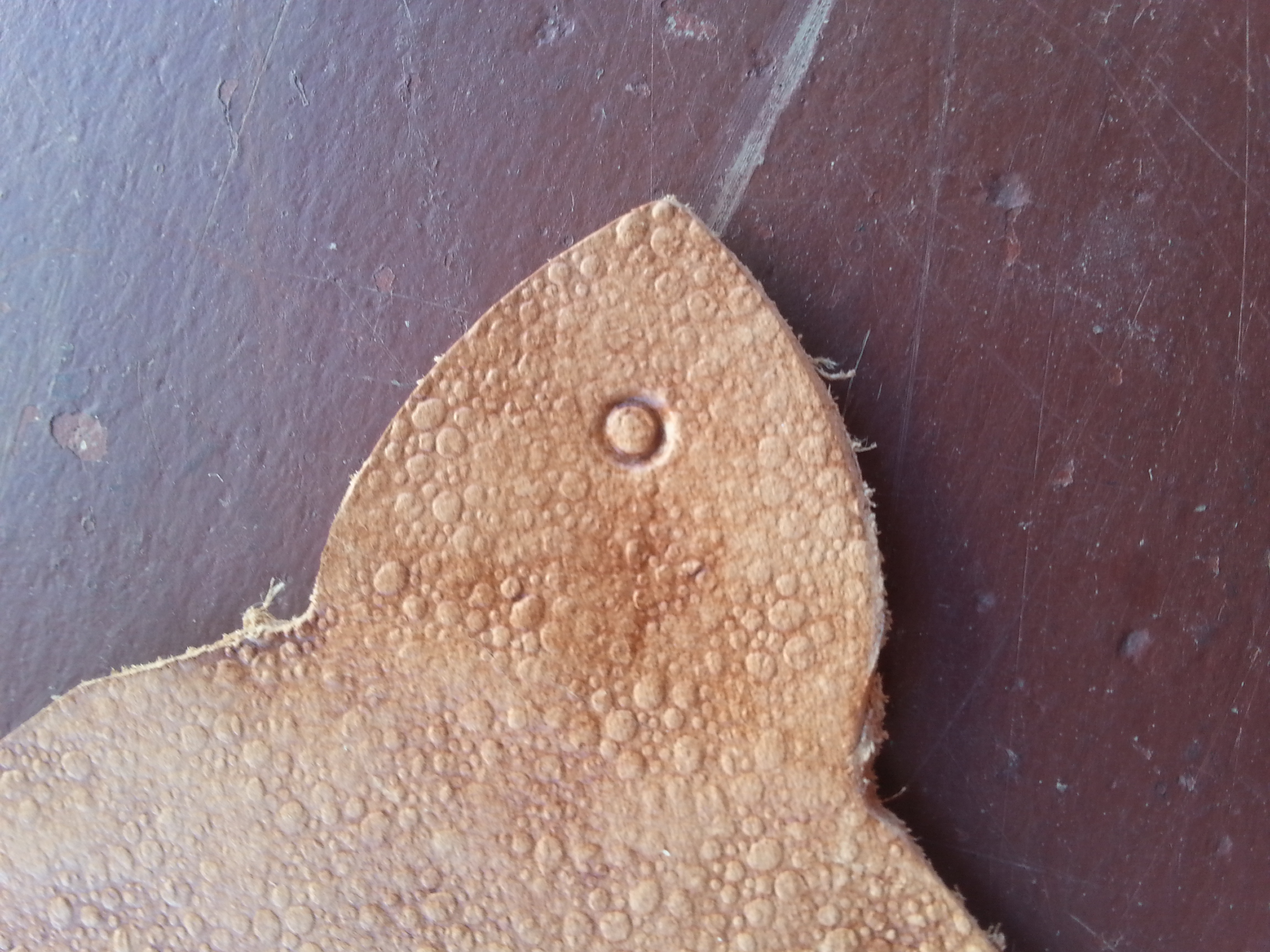 20140831_152406.jpg