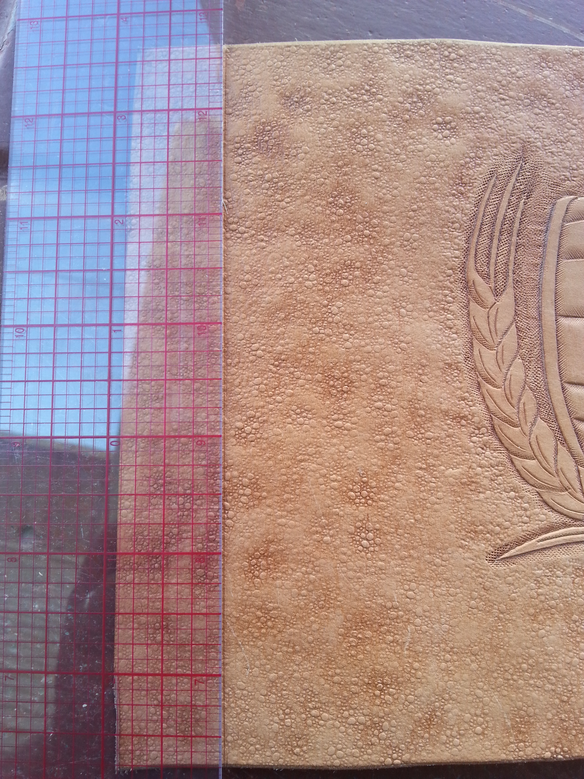 20140831_161036.jpg