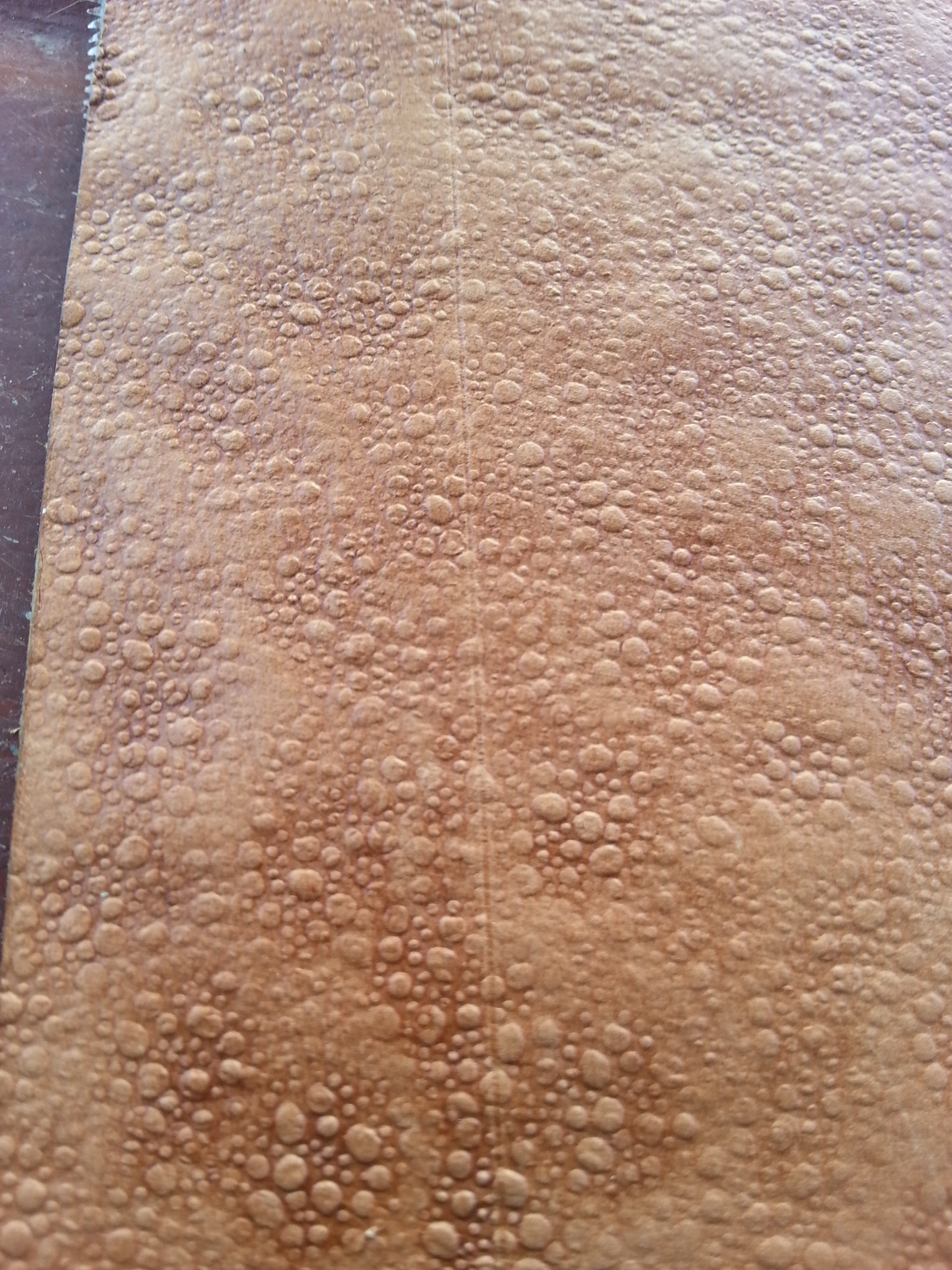 20140831_161047.jpg