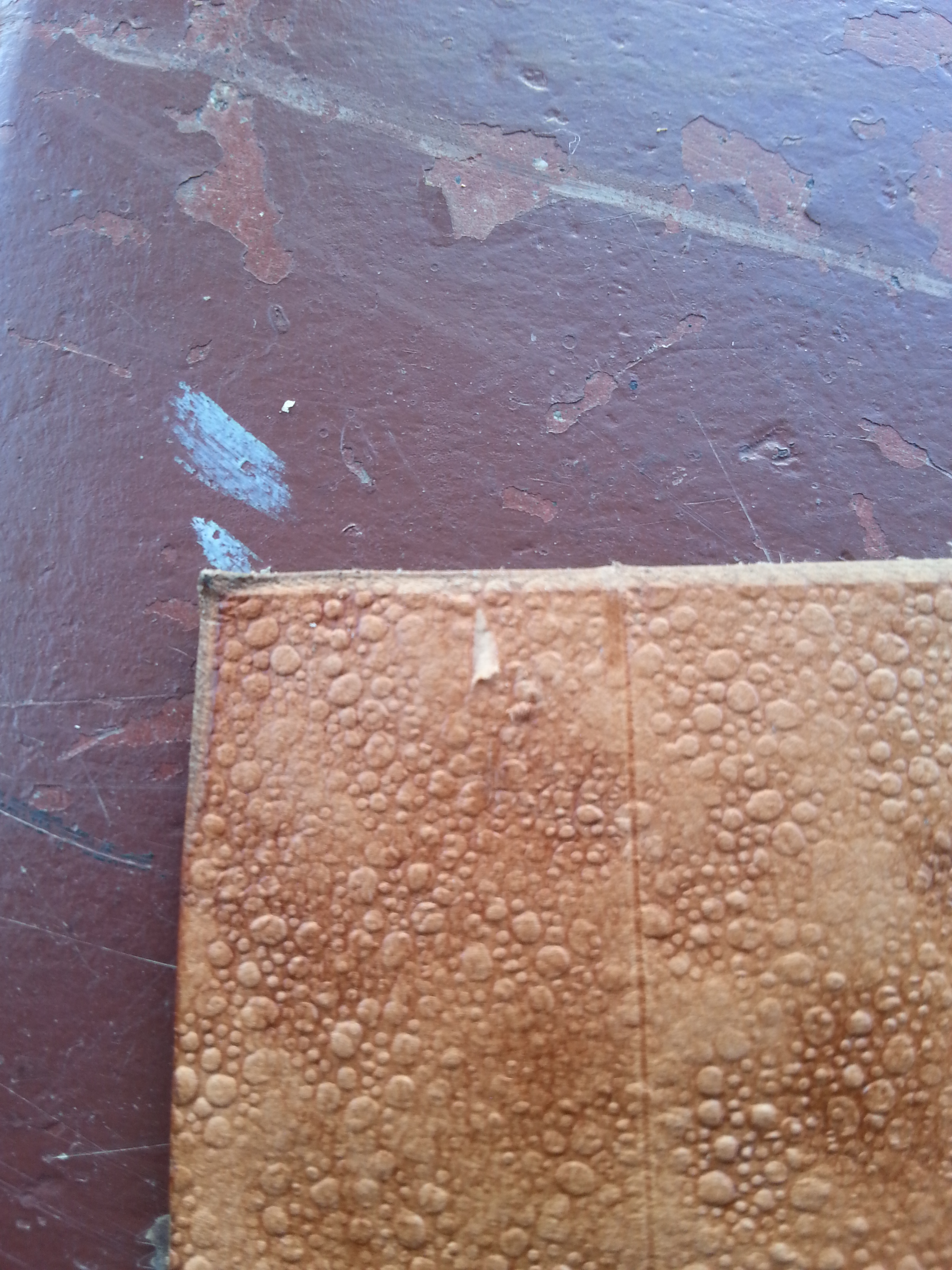 20140831_161253.jpg