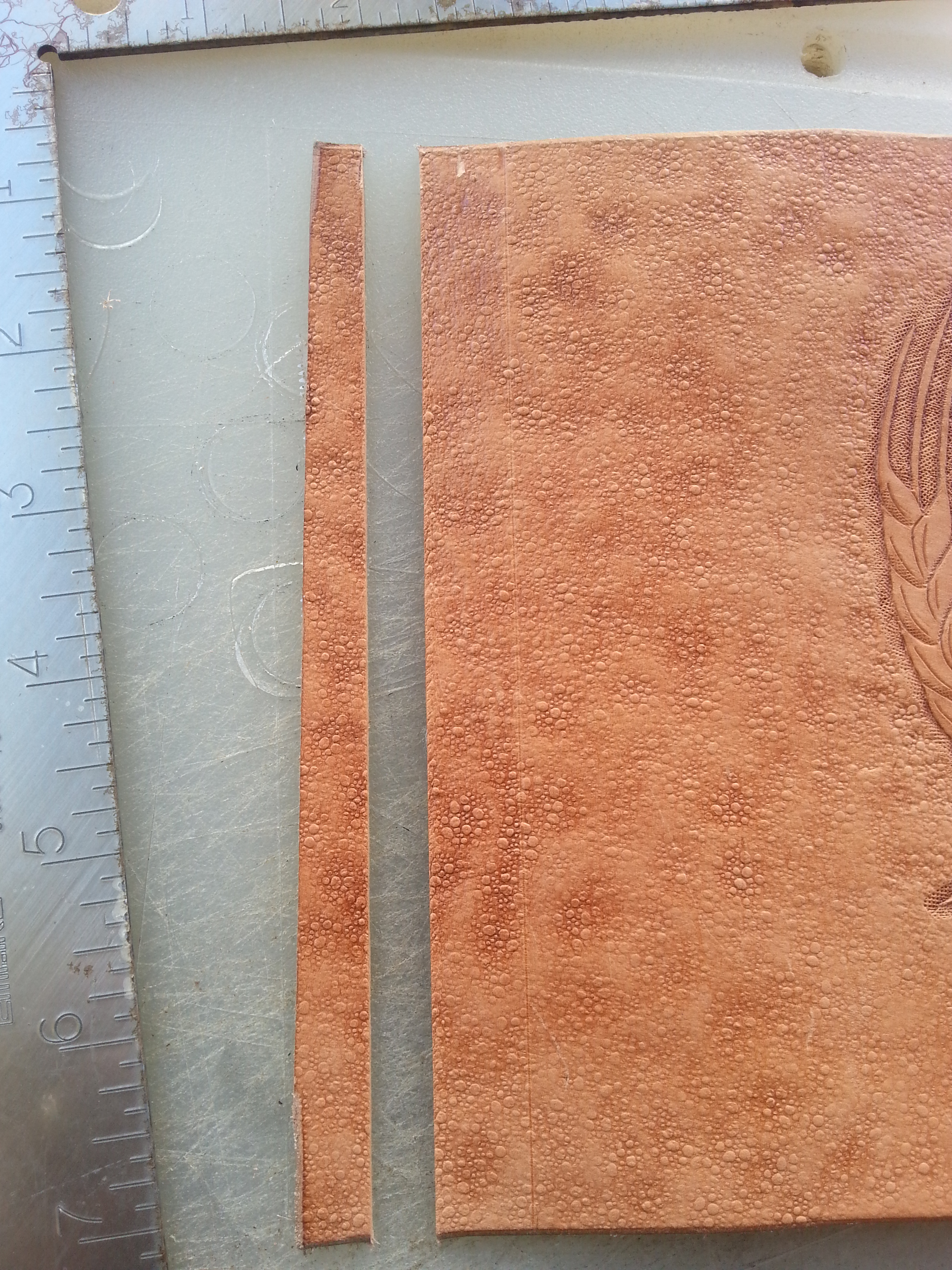 20140831_161644.jpg