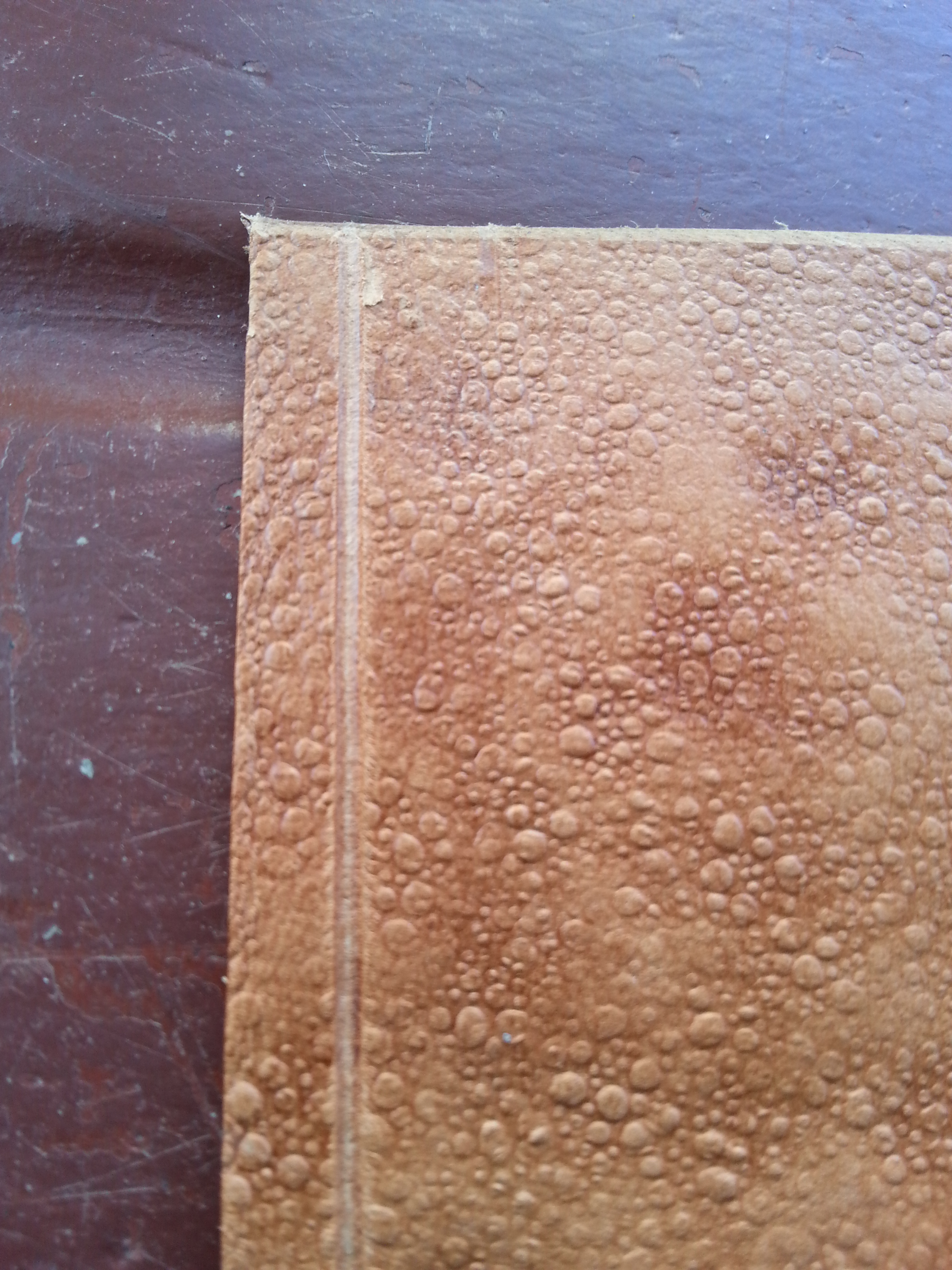 20140831_161838.jpg