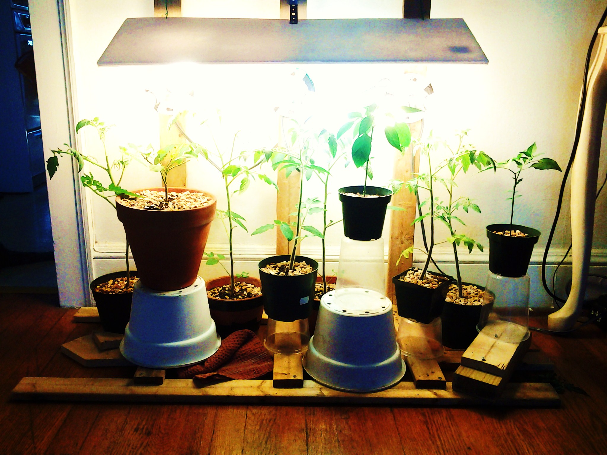 20140906_151911.jpg