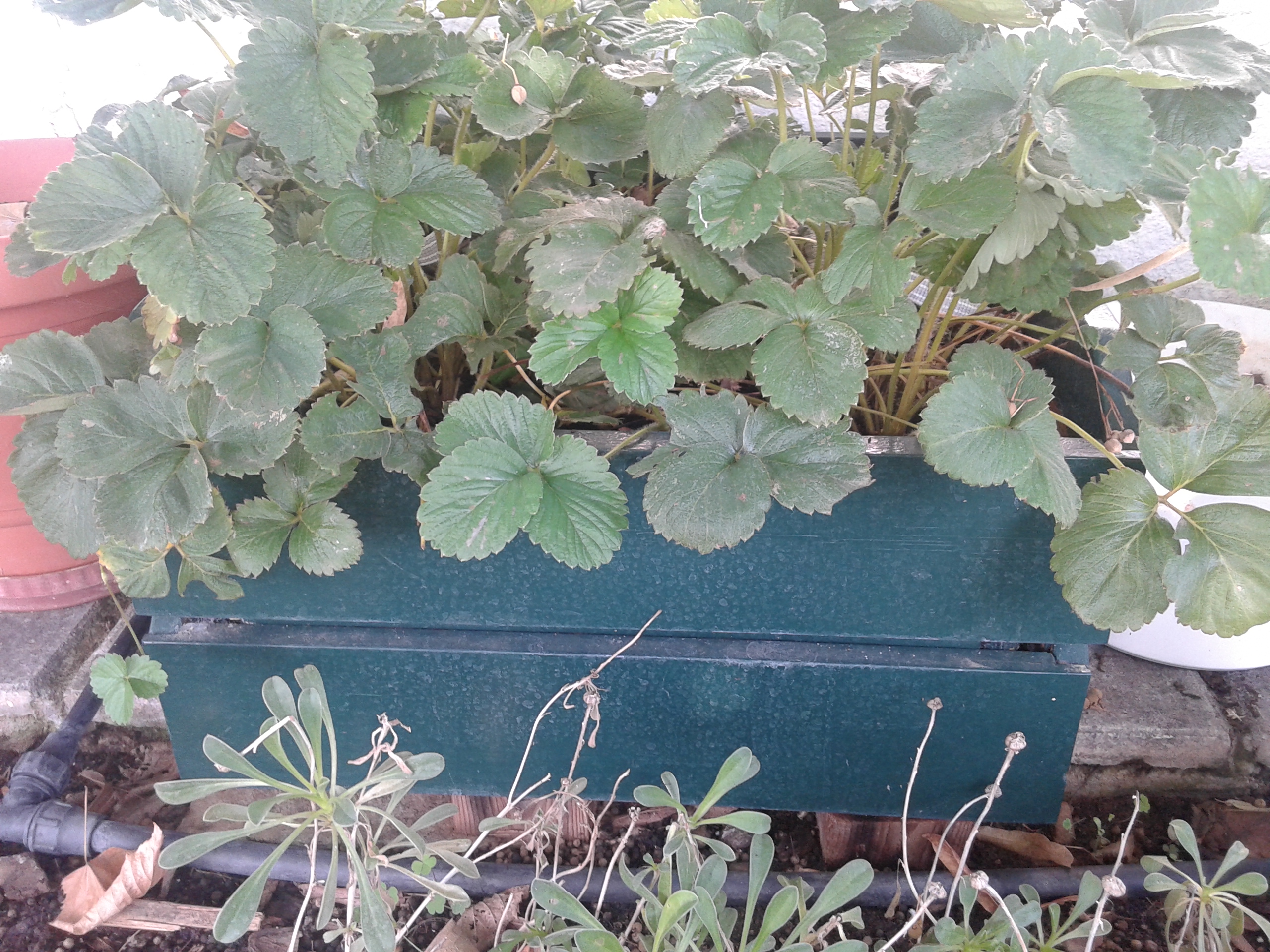 20140914_104859.jpg