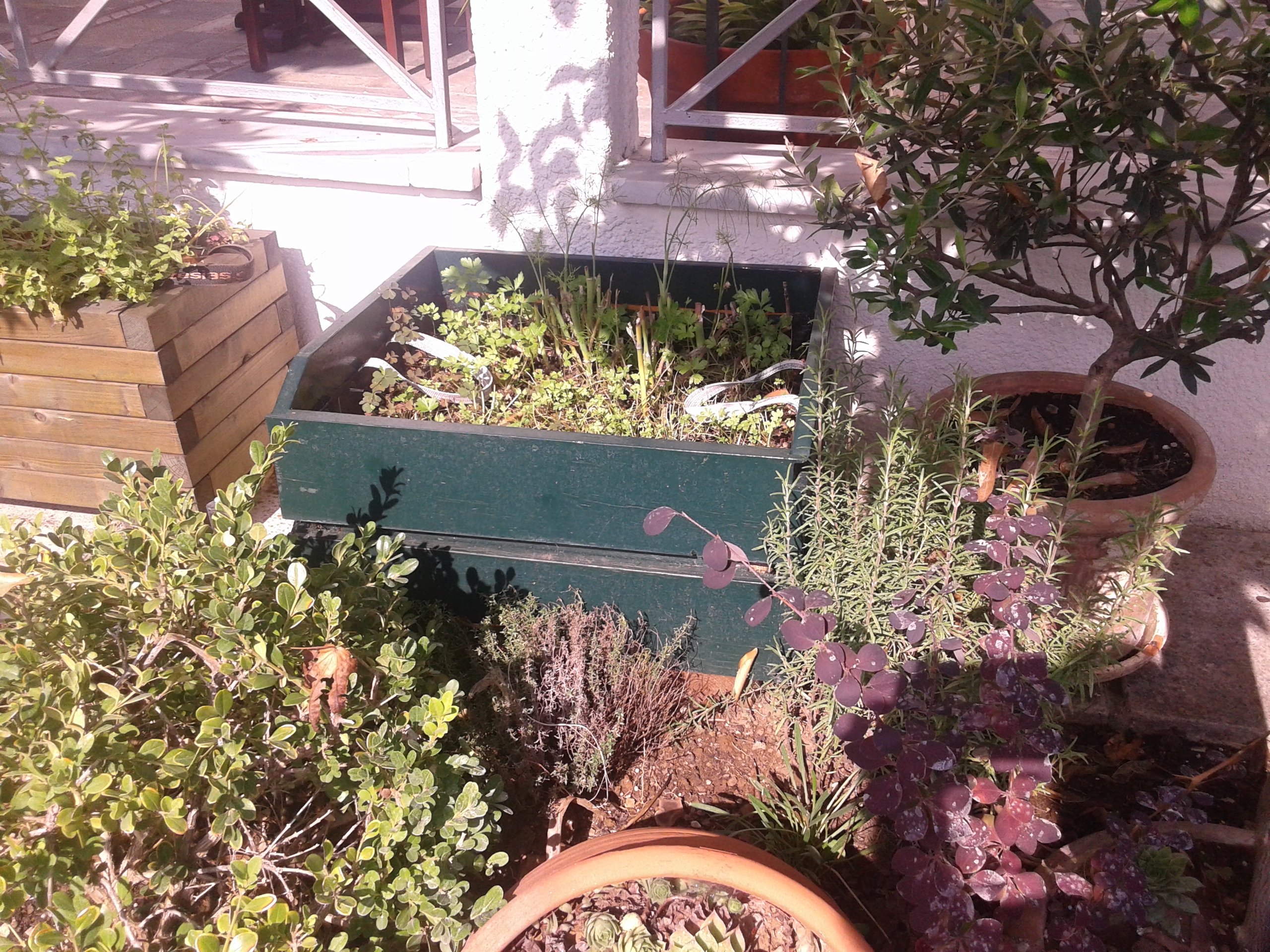 20140914_104913.jpg