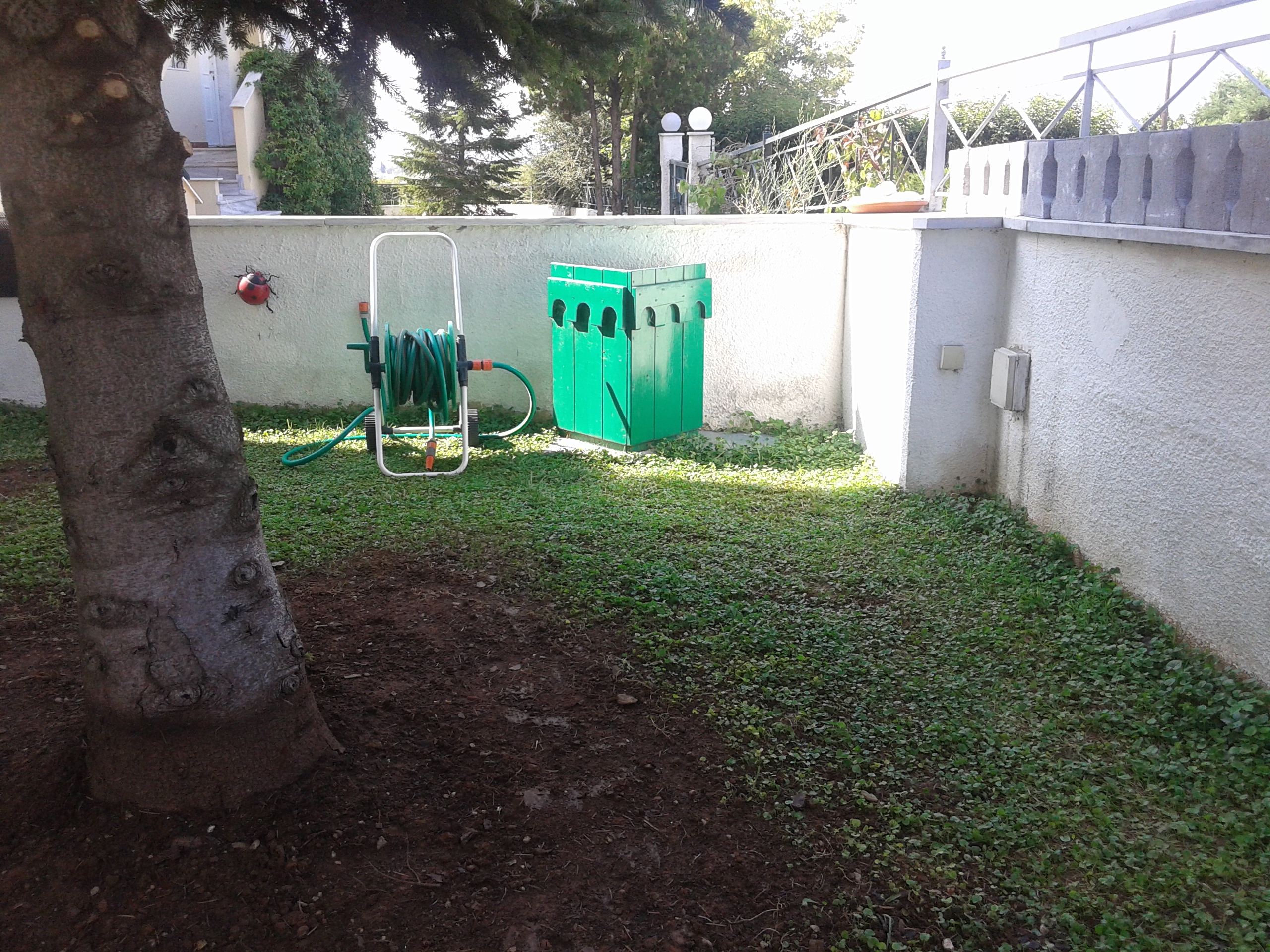 20140914_105502.jpg